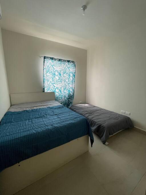 Three-Bedroom House photo 3
