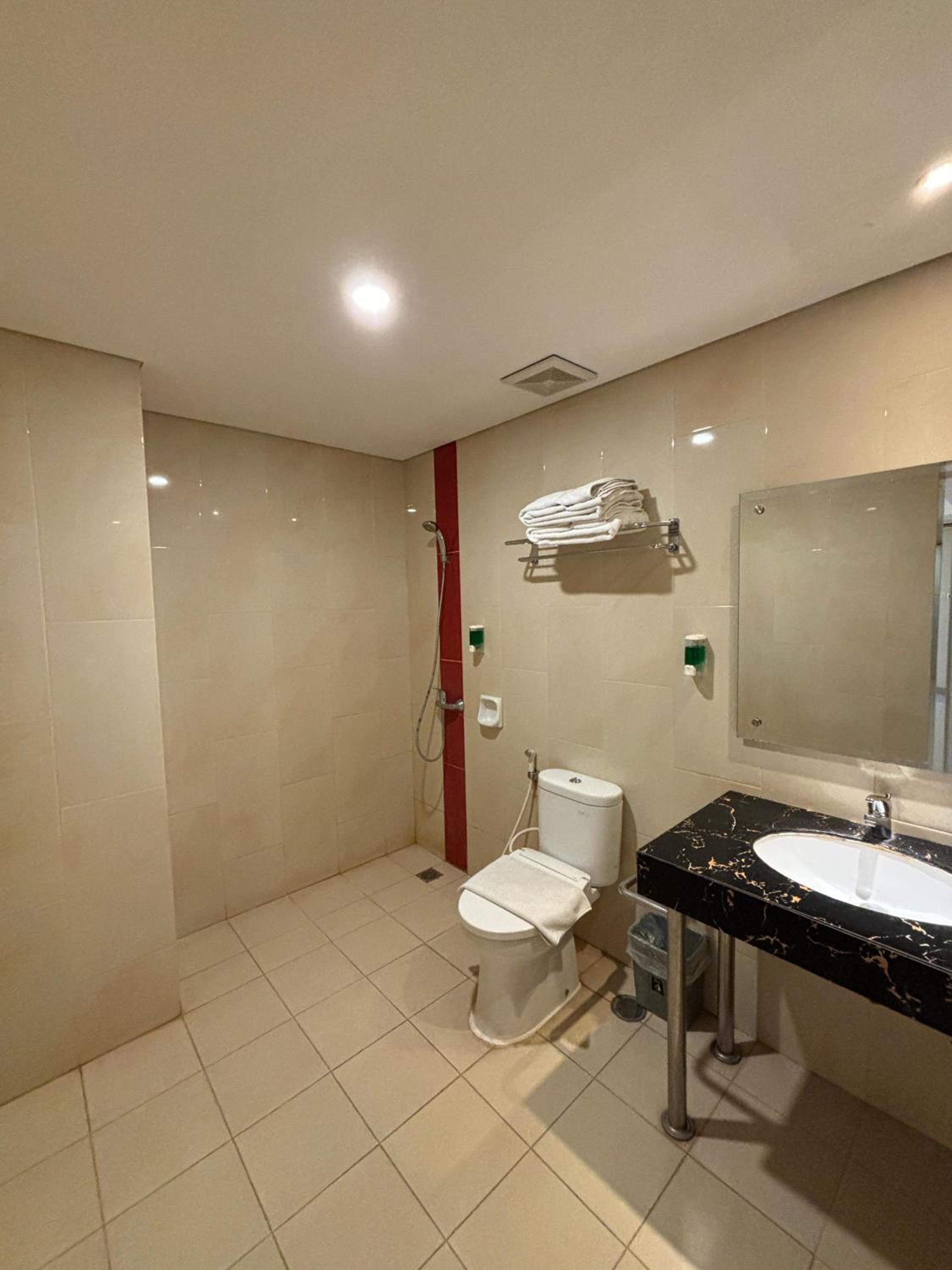 Deluxe Double Room photo 3