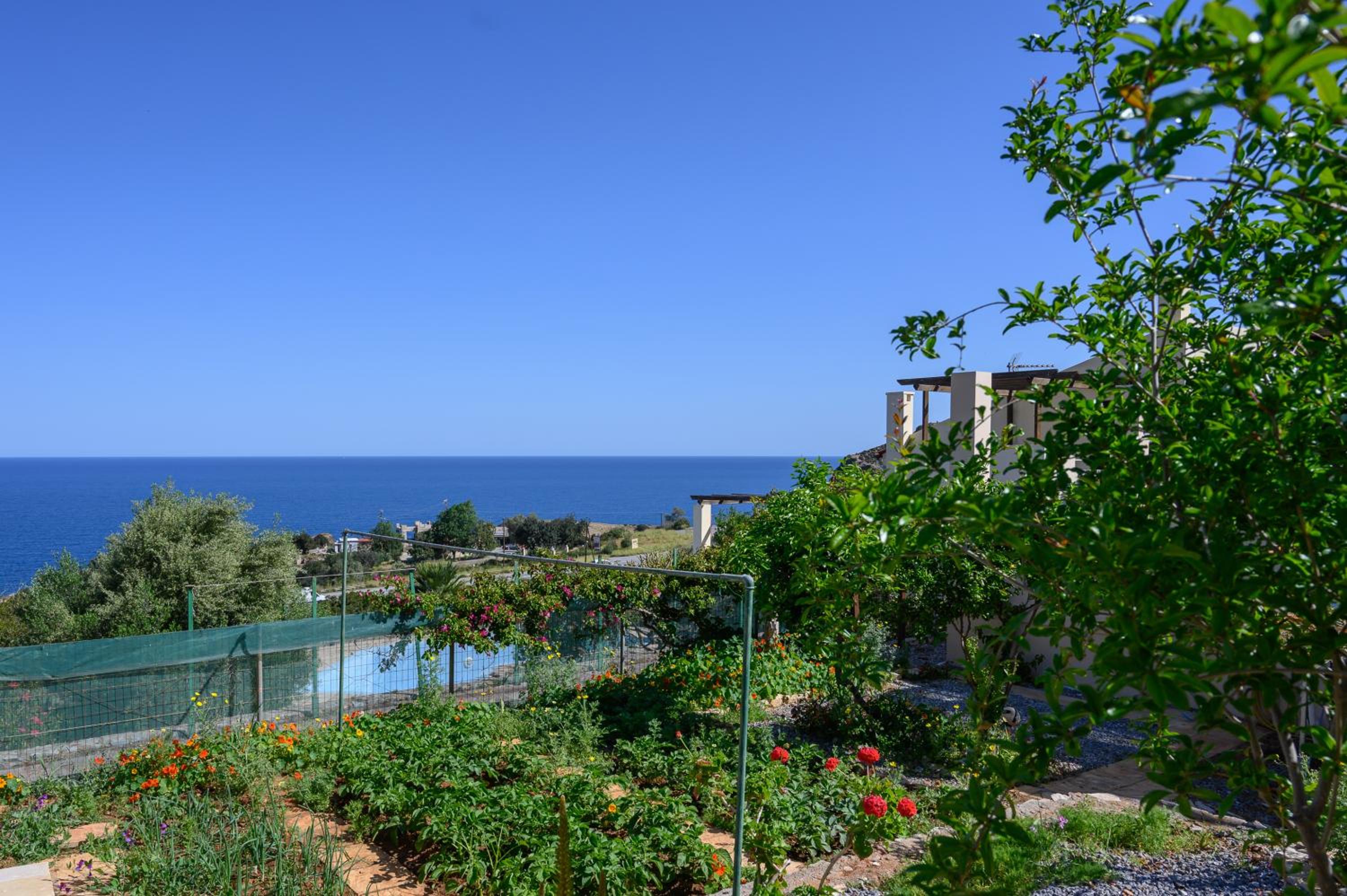 Villa with Private Pool photo 2