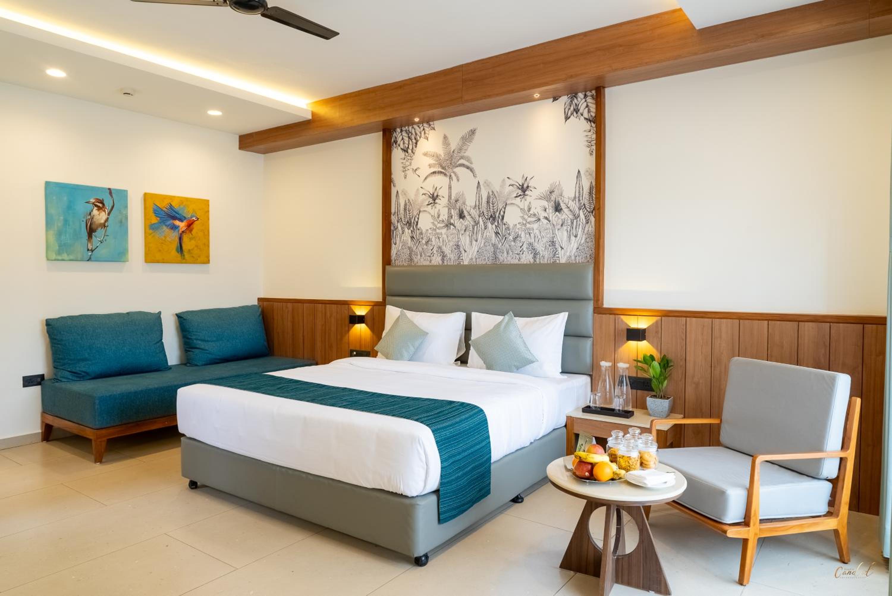 Deluxe King Room photo 2