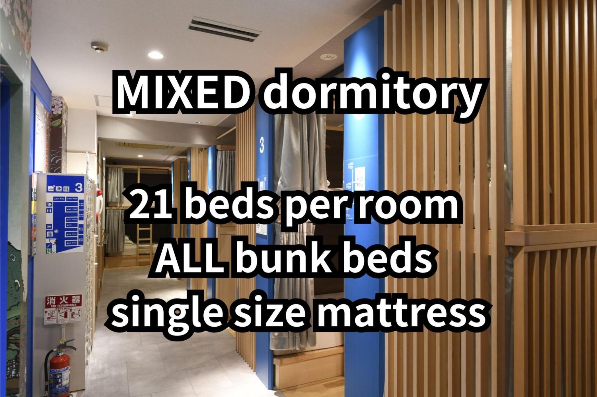 Bunk Bed in Mixed Dormitory Room photo 2