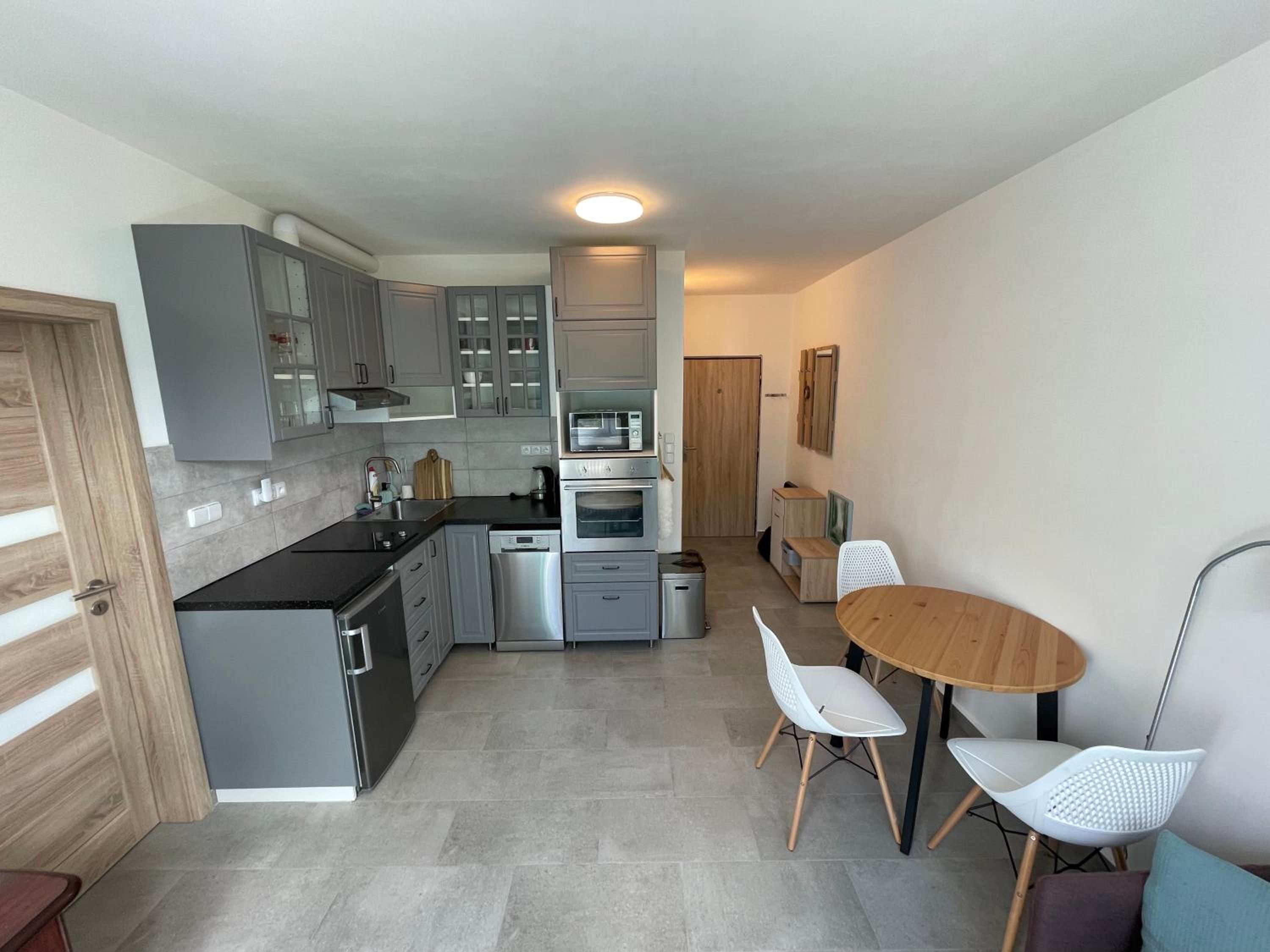 One-Bedroom Apartment photo 2
