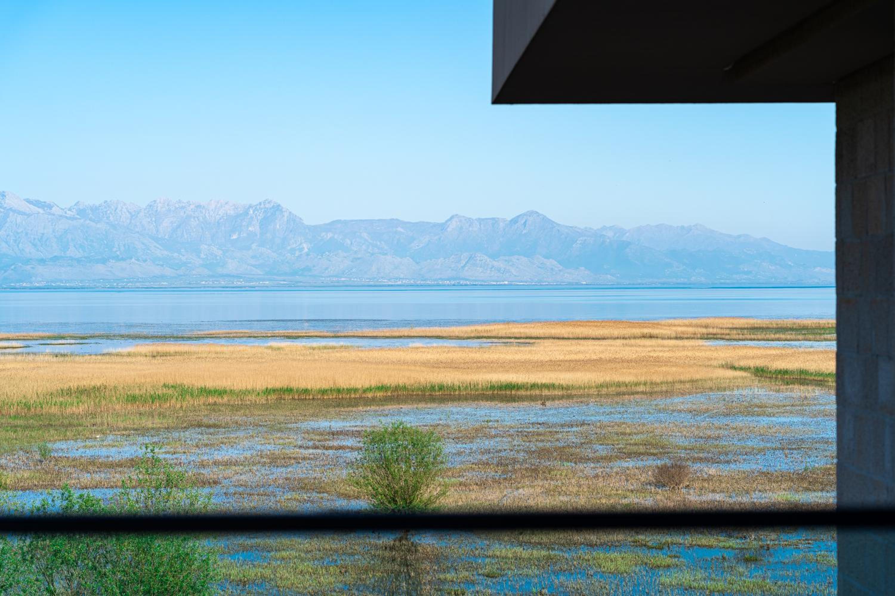 Apartment with Lake View