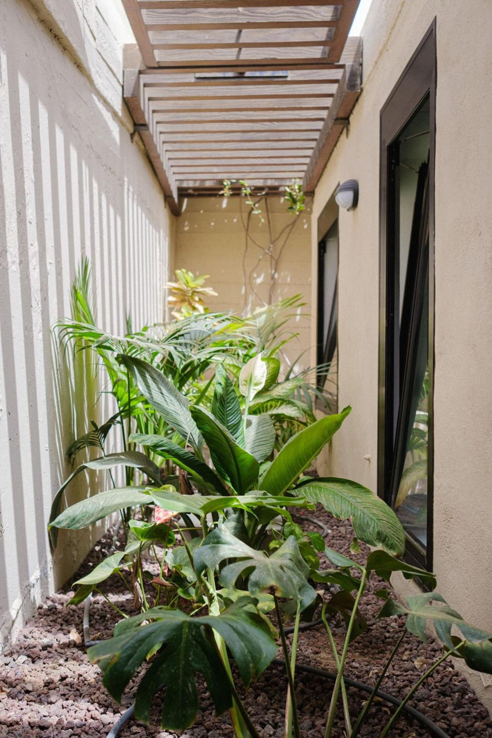 Two-Bedroom Apartment with Garden photo 3