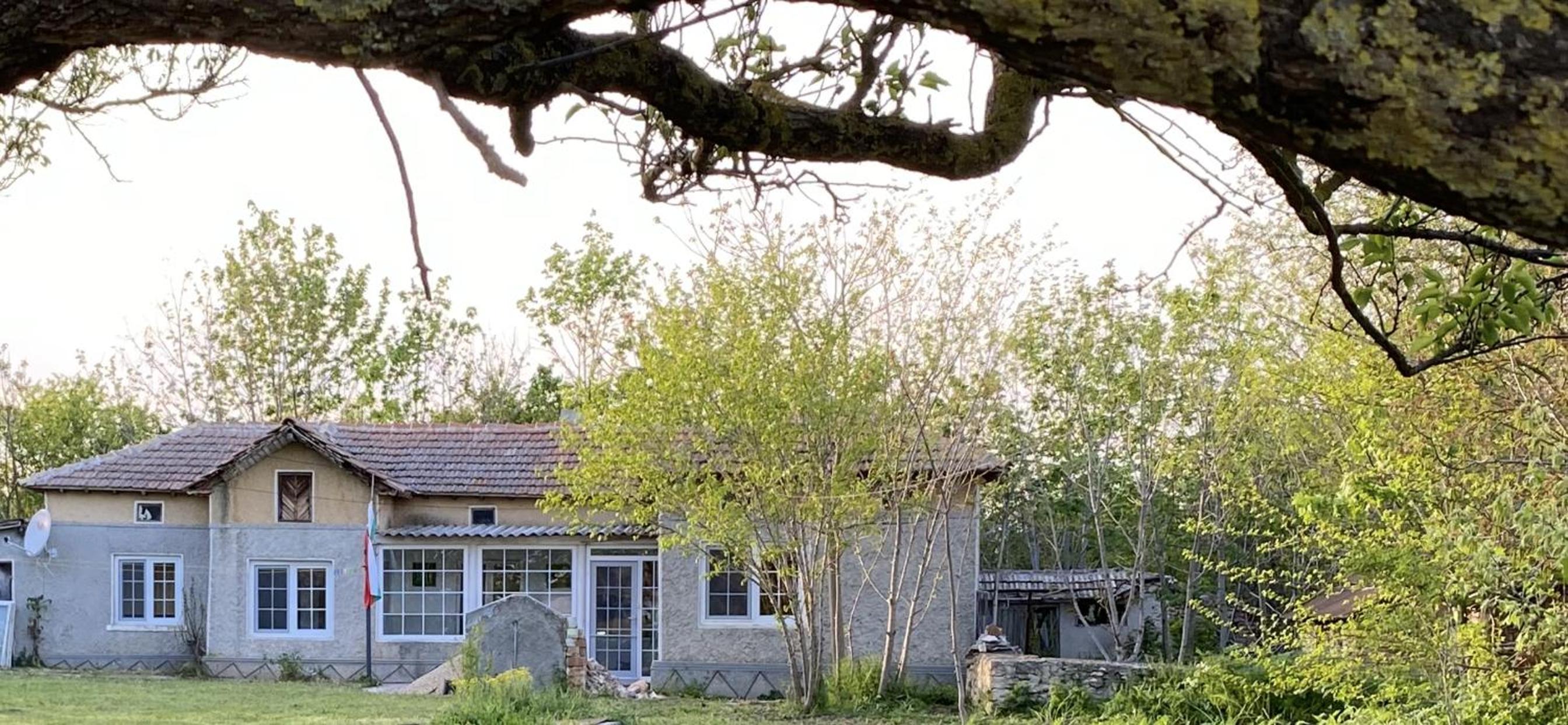 One-Bedroom House photo 2