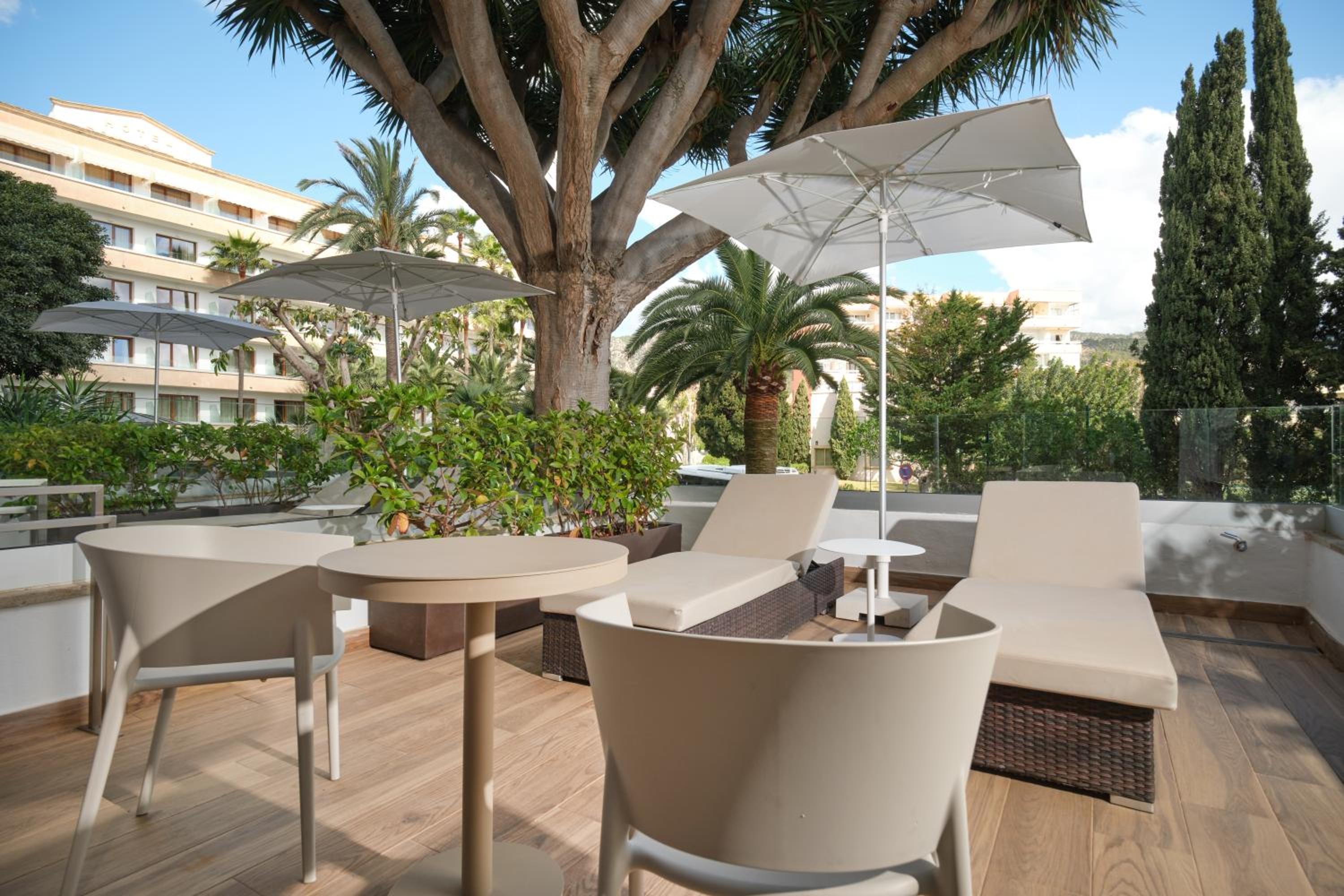 Superior Double or Twin Room with Terrace