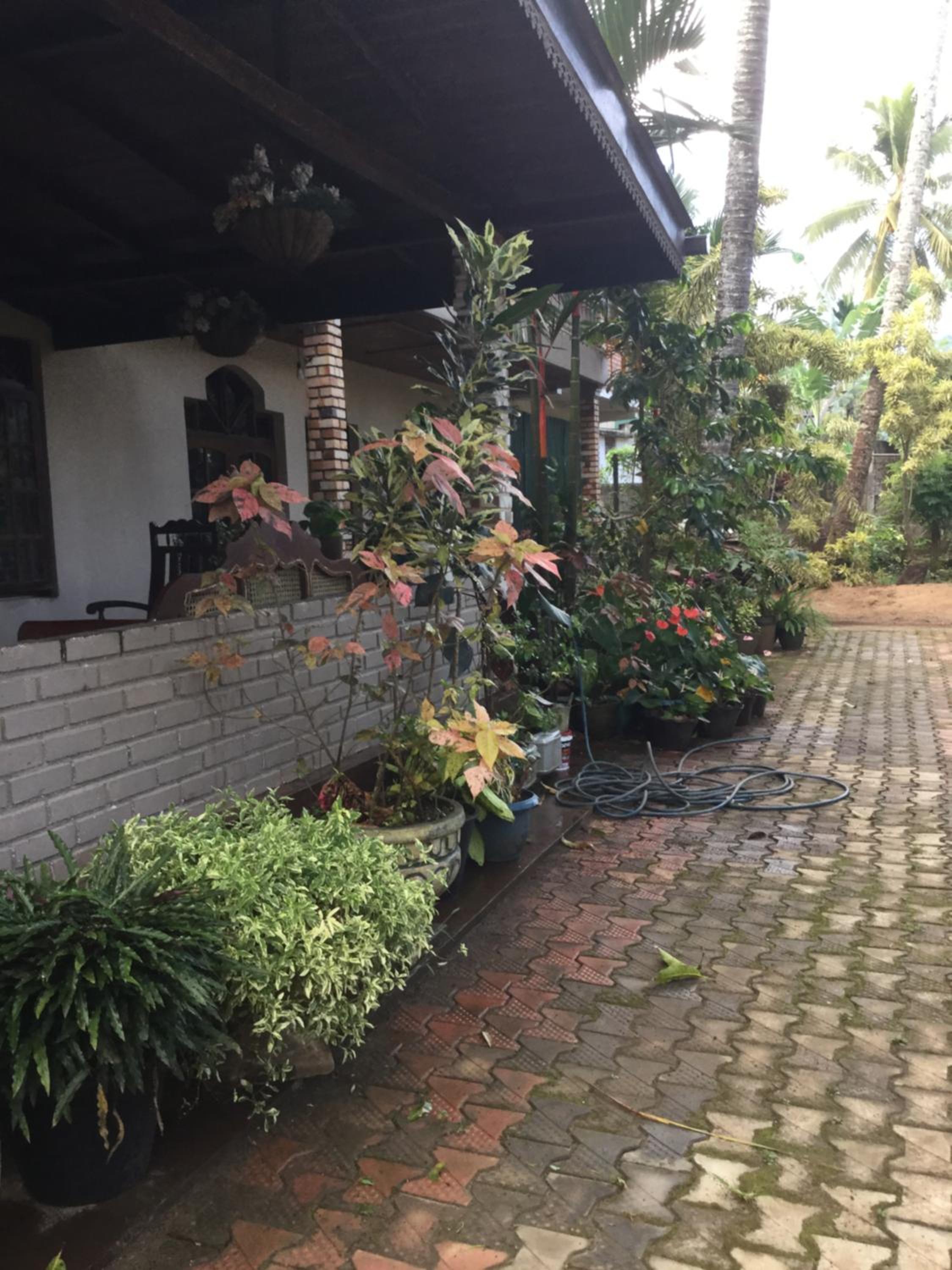 One-Bedroom House photo 2