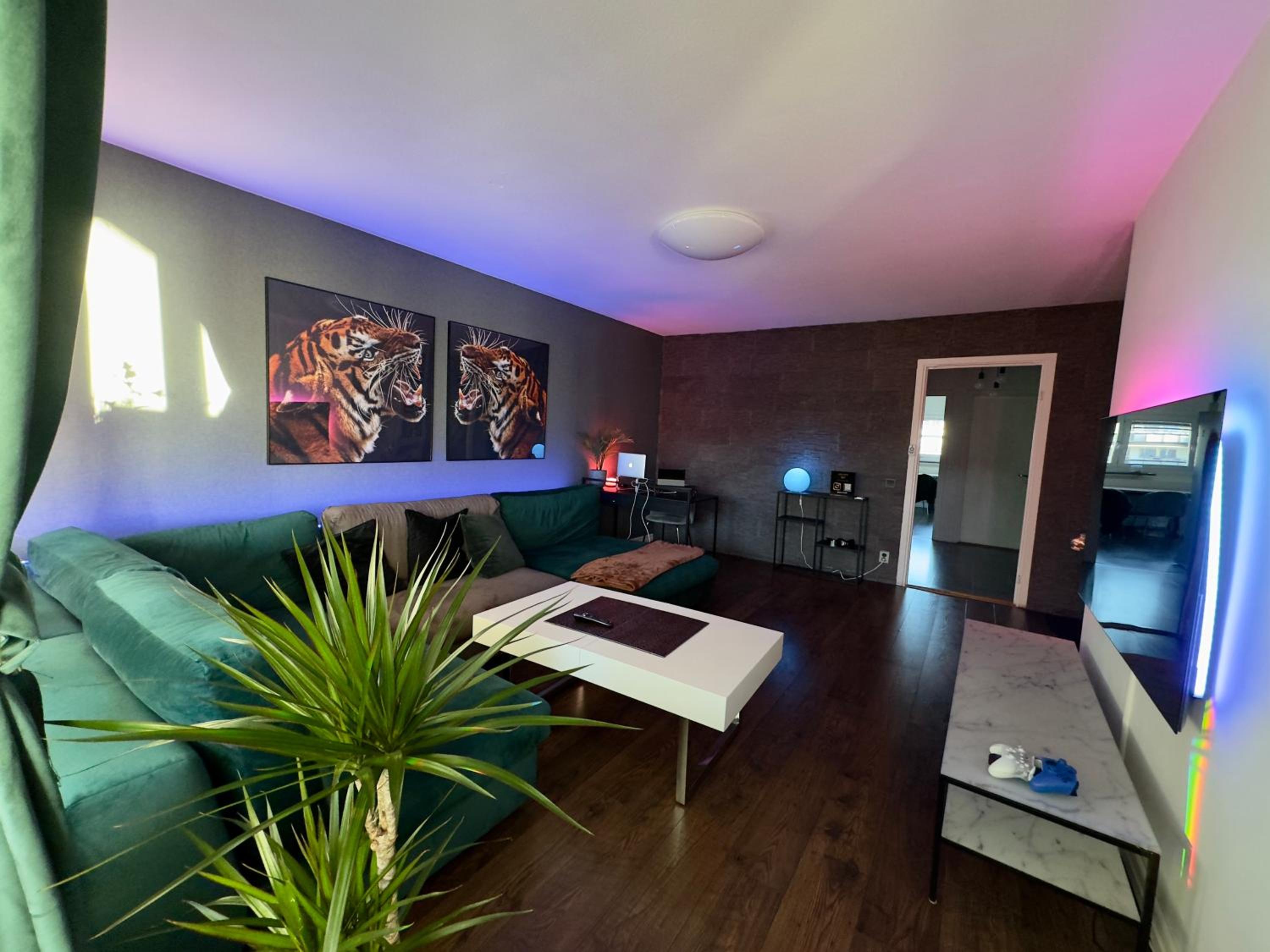 One-Bedroom Apartment photo 1