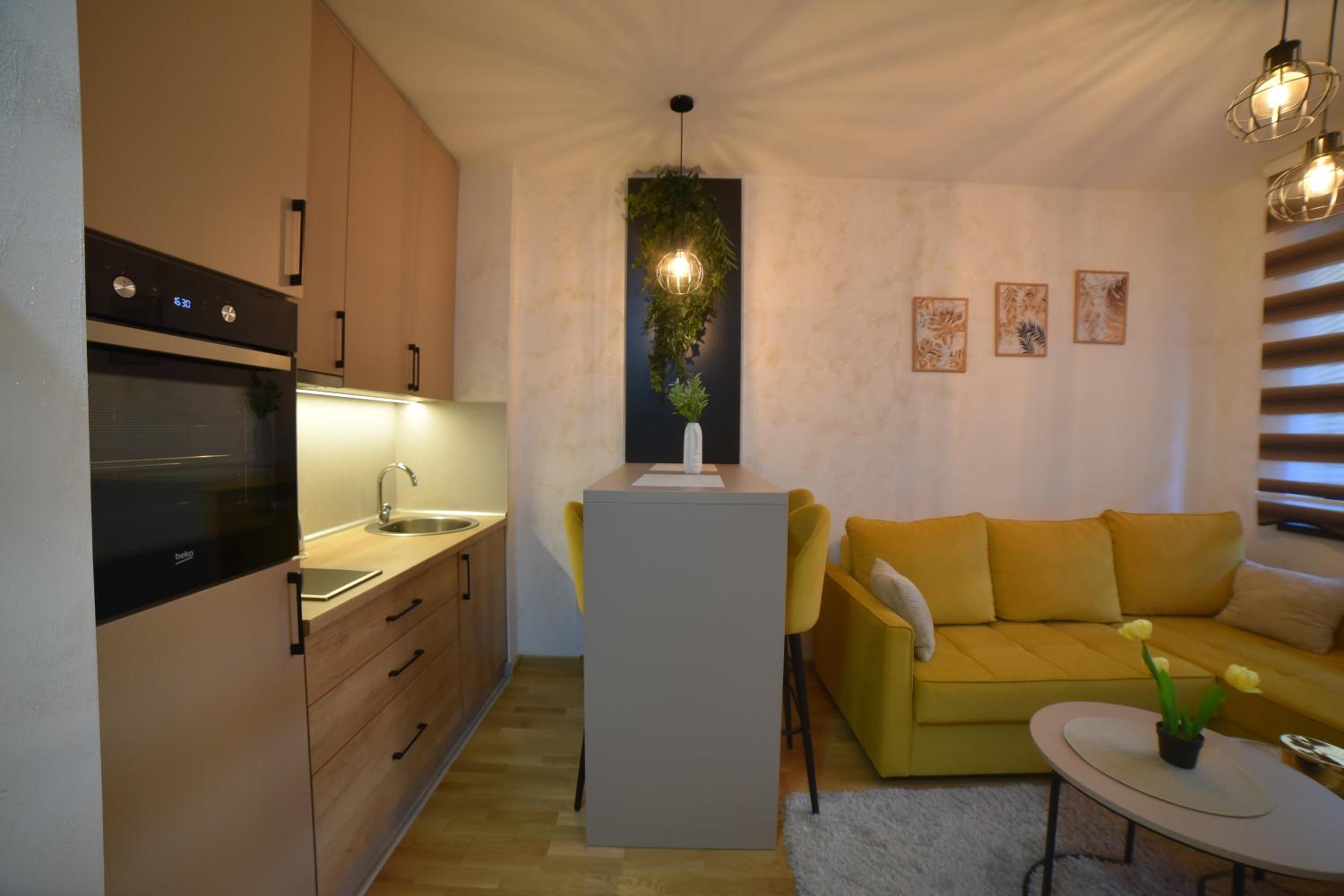 One-Bedroom Apartment photo 2