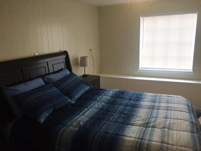 Family Room photo 1