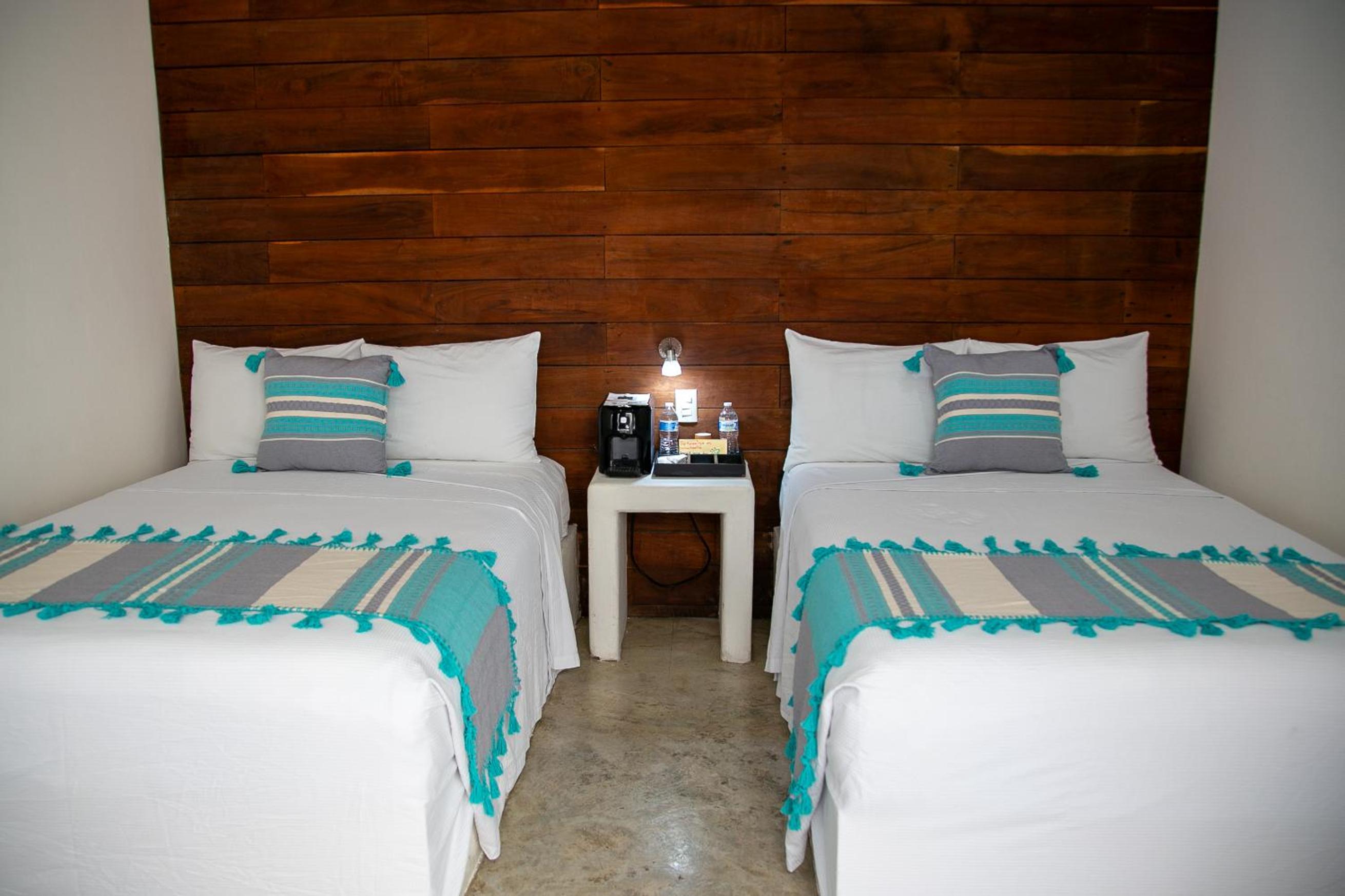 Twin Room photo 1