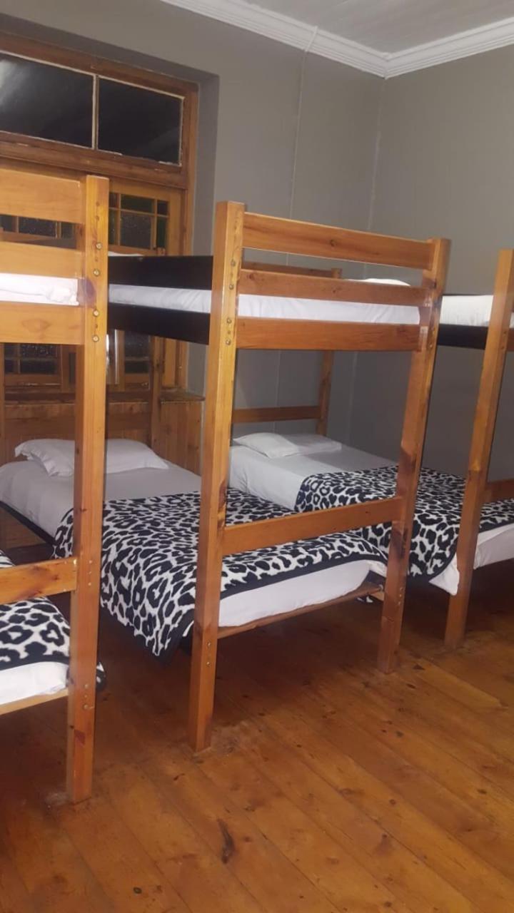 8-Bed Mixed Dormitory Room photo 1