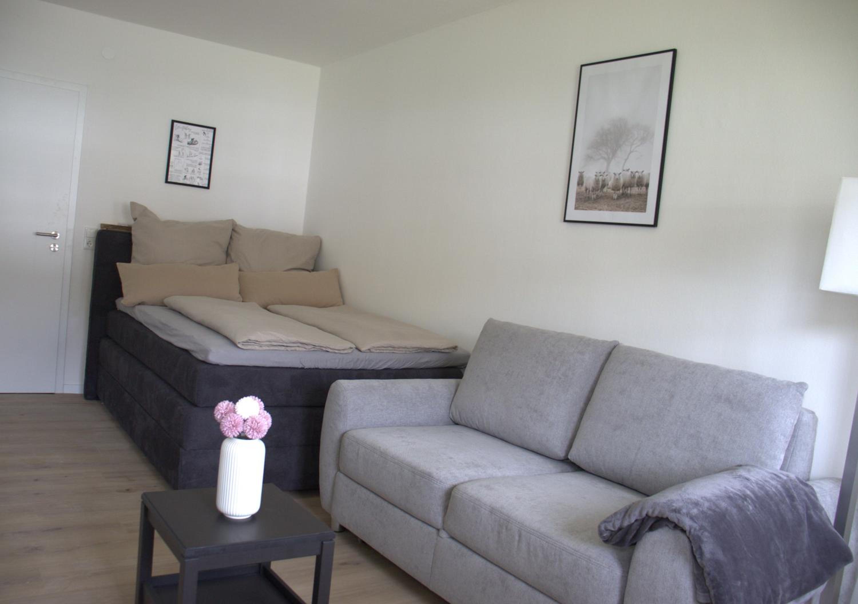 Studio Apartment photo 1