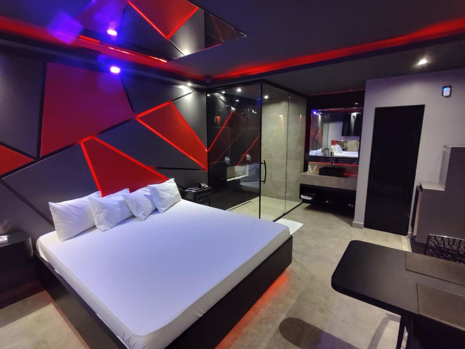 Suite - Photo 1