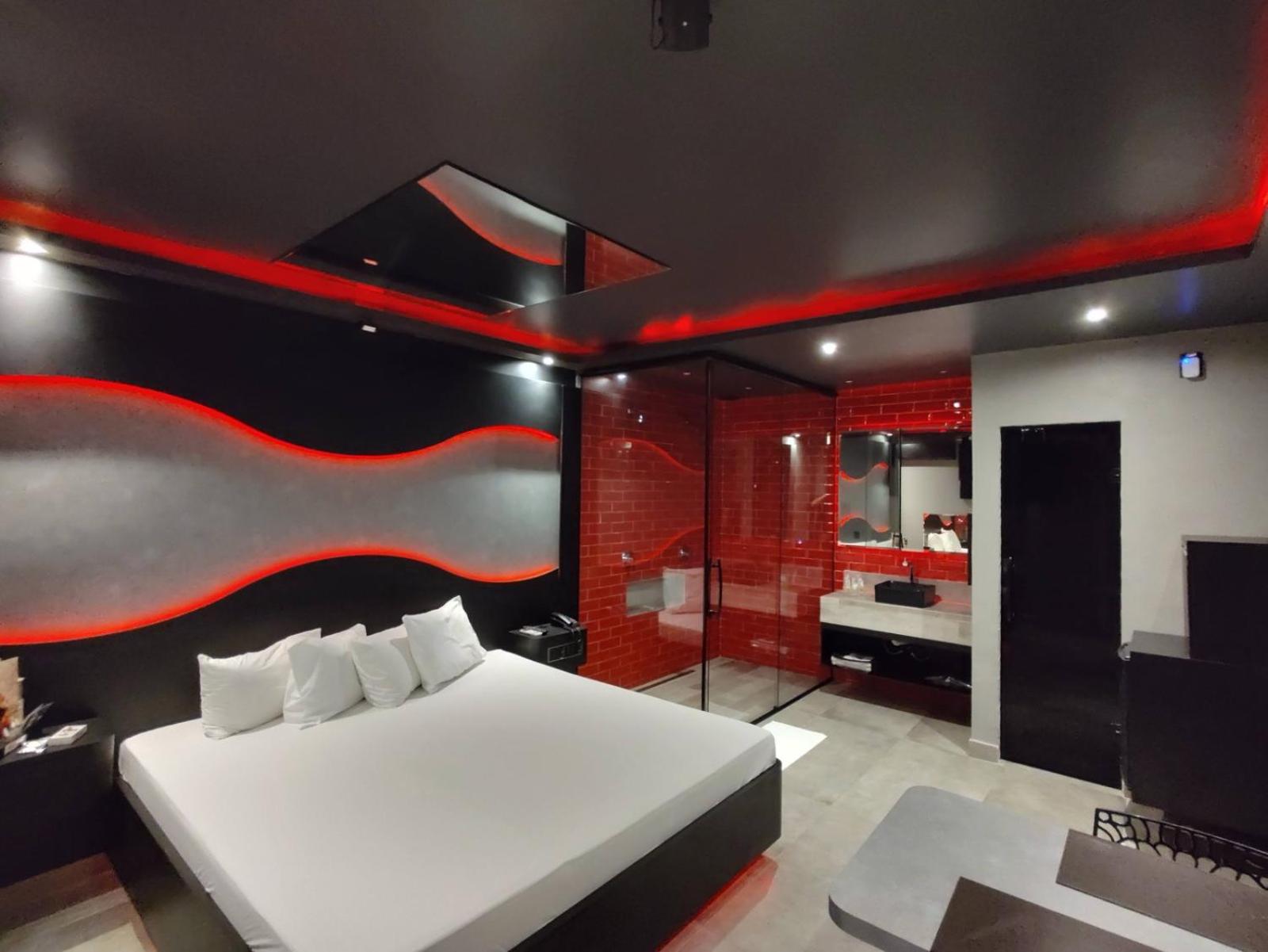 Suite - Photo 2
