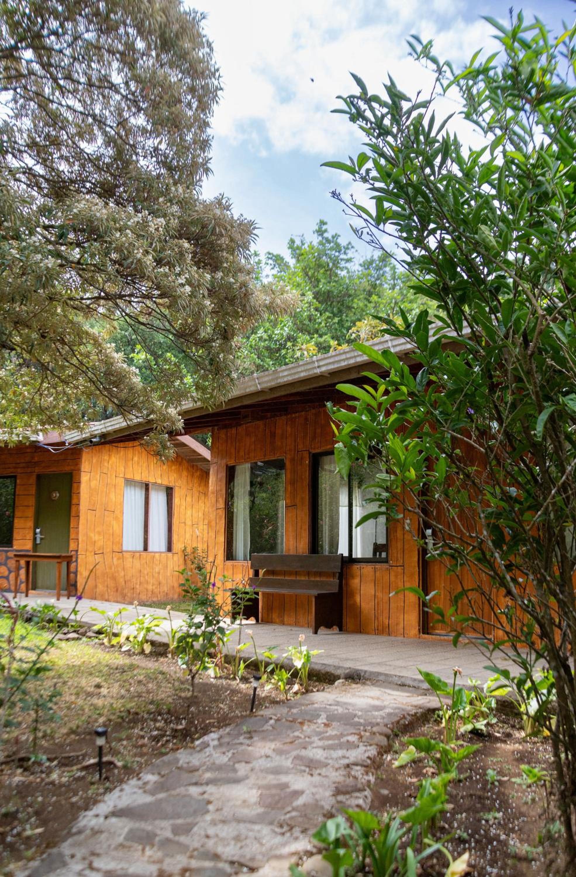 Family Room With Garden View photo 2