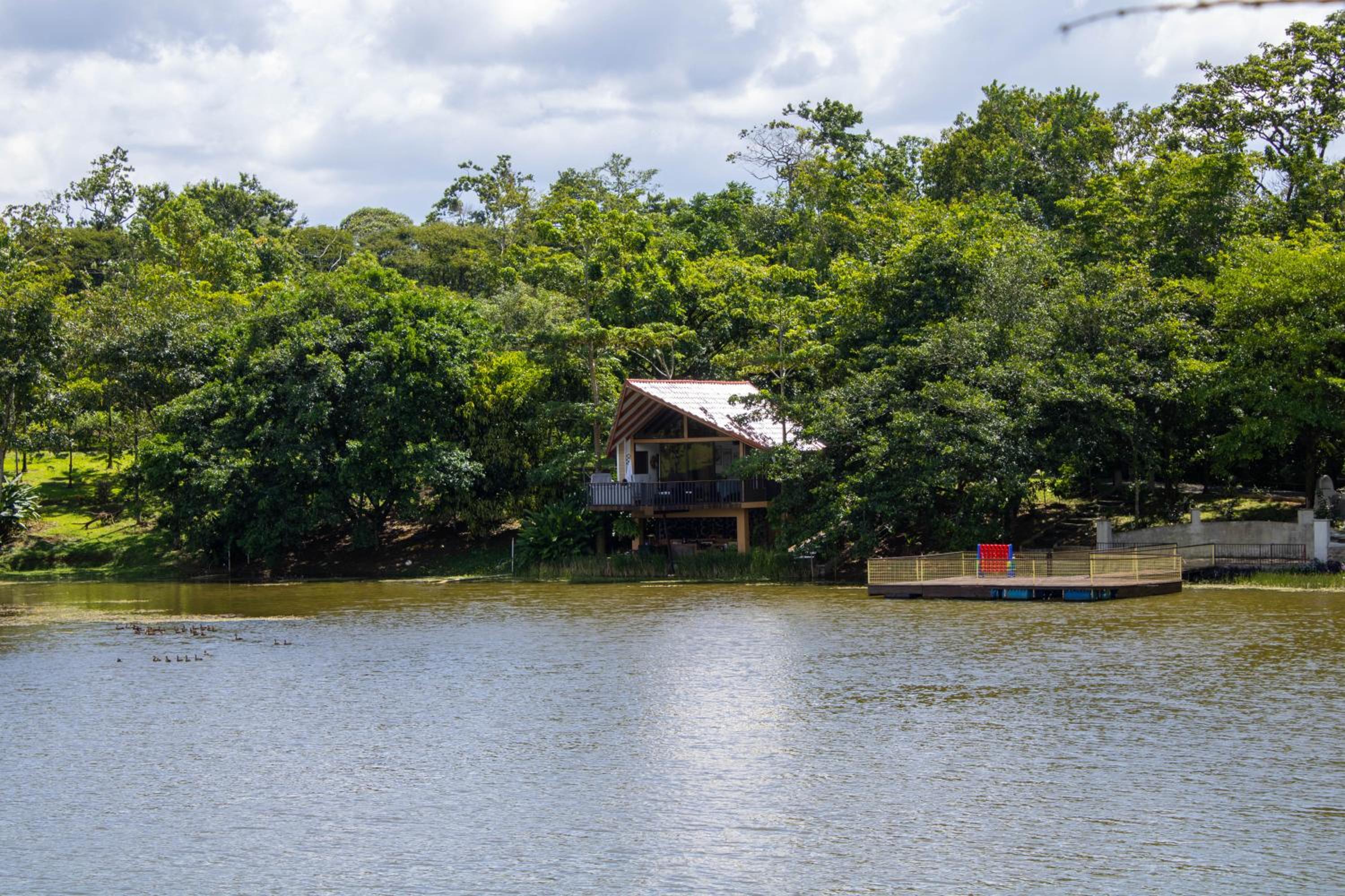 Double Room with Lake View photo 2