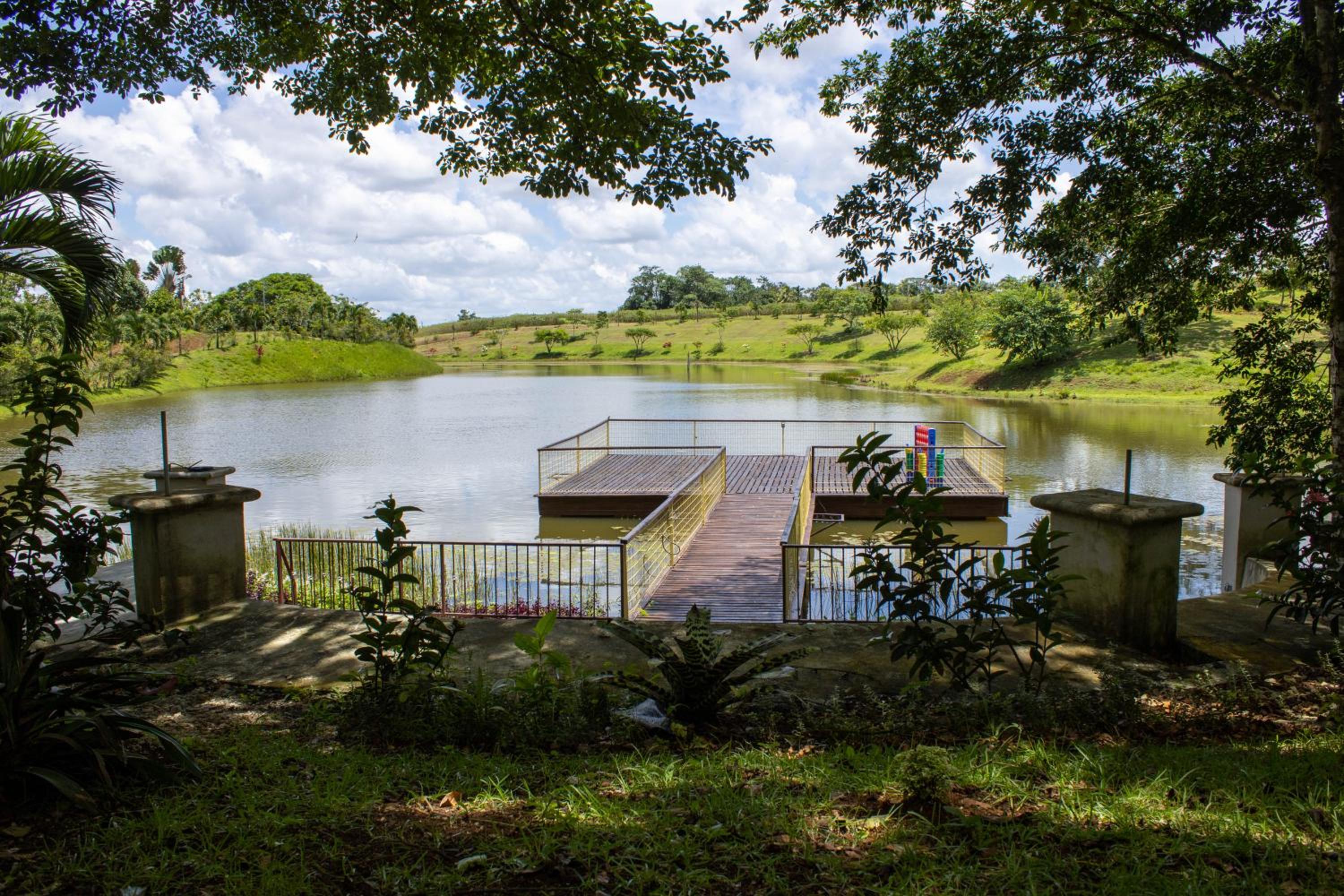 Double Room with Lake View photo 3