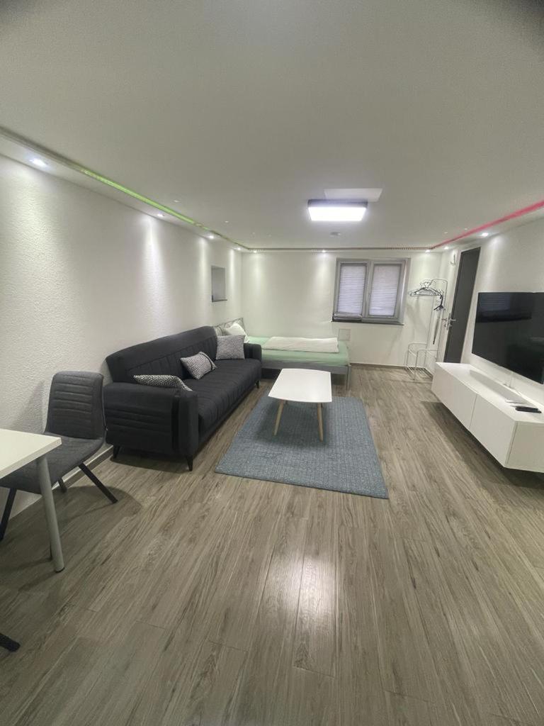 One-Bedroom Apartment photo 3