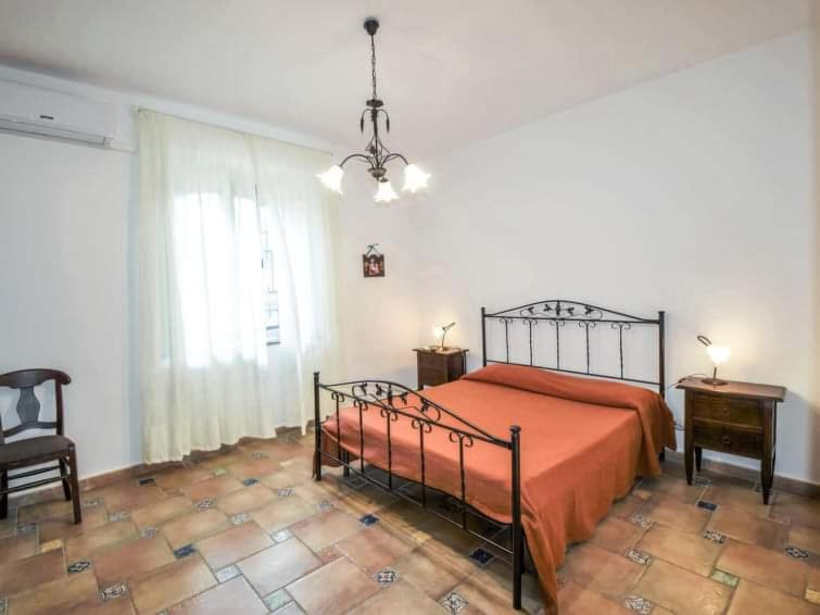 Apartment with Terrace photo 1