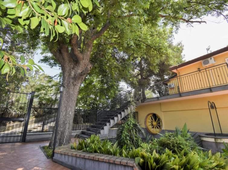 Apartment with Terrace photo 3