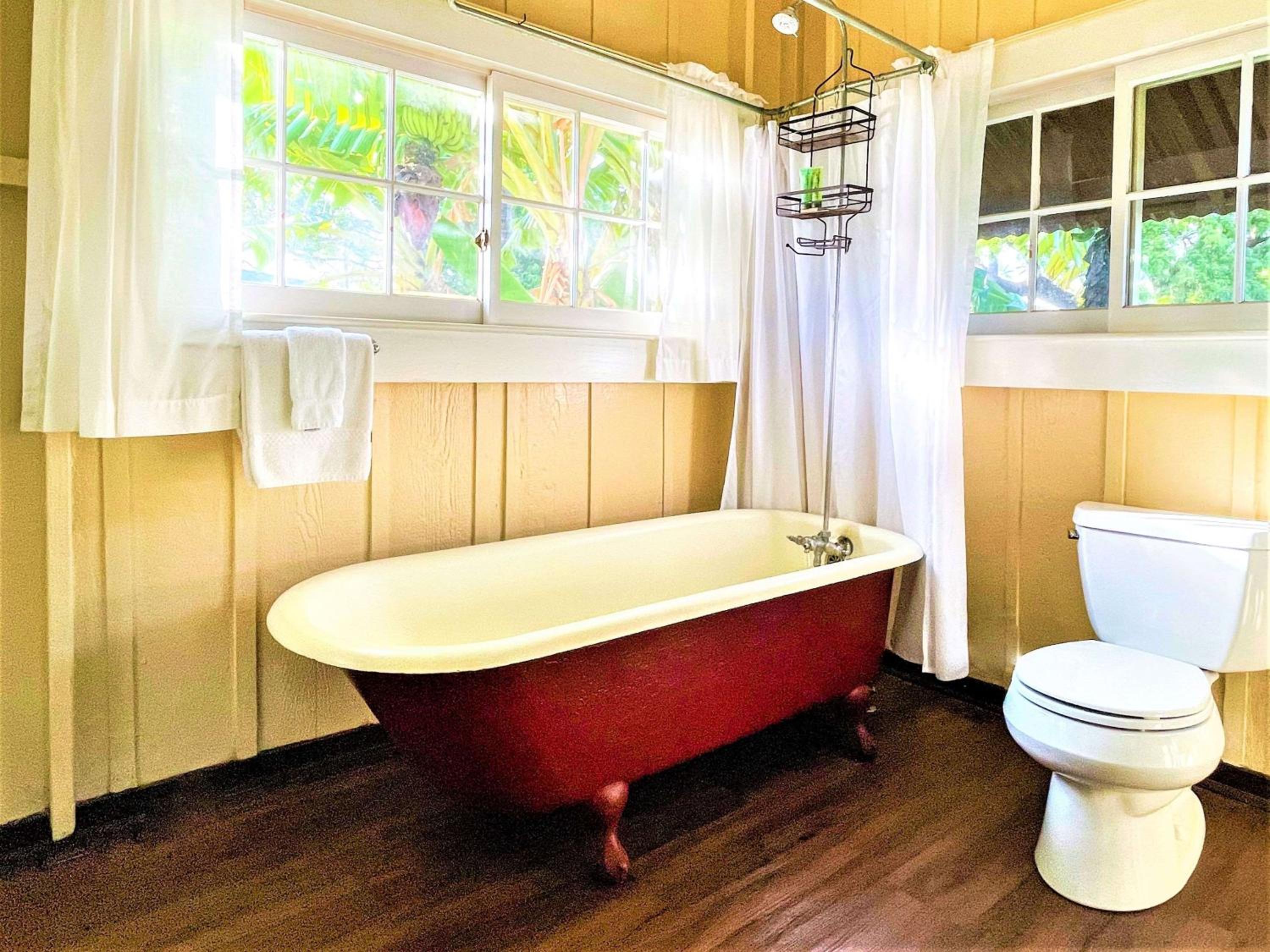 Coast Cottage One Bedroom Ocean Front photo 2