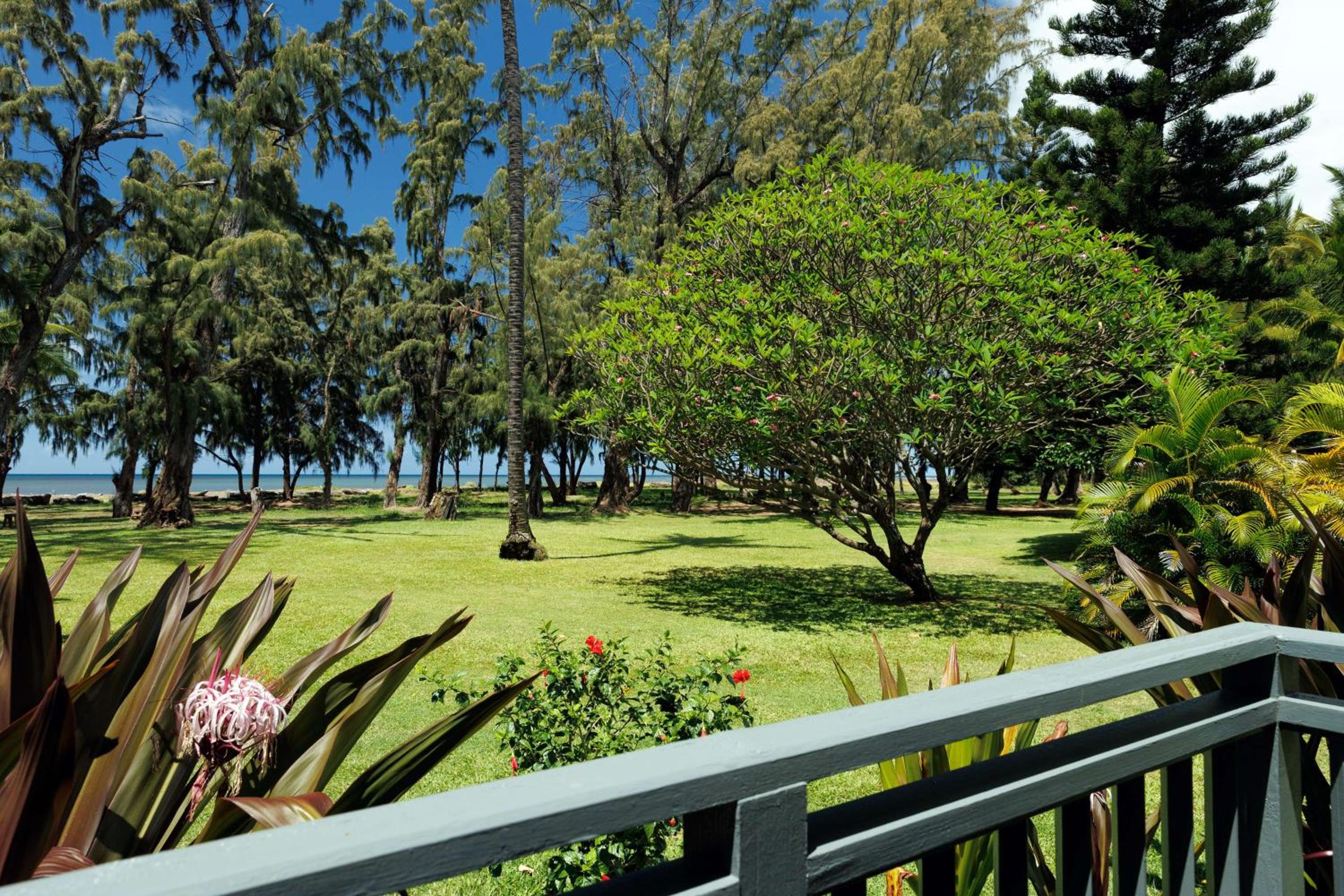 Coast Cottage Two Bedroom Ocean Front photo 2