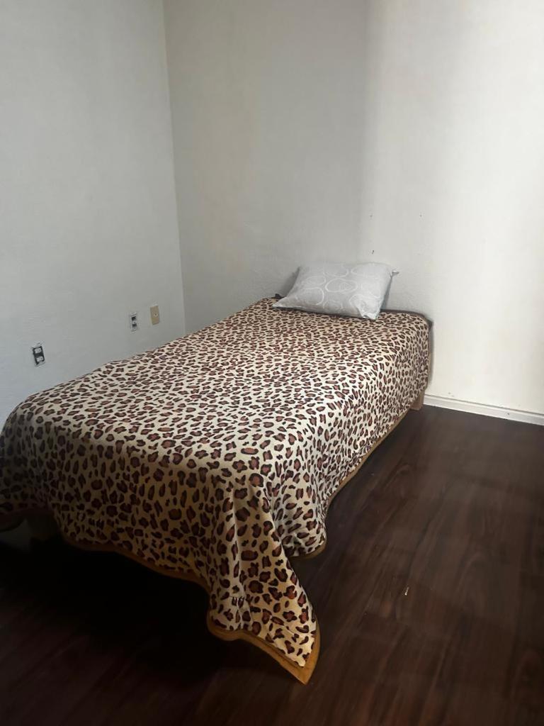One-Bedroom House photo 1