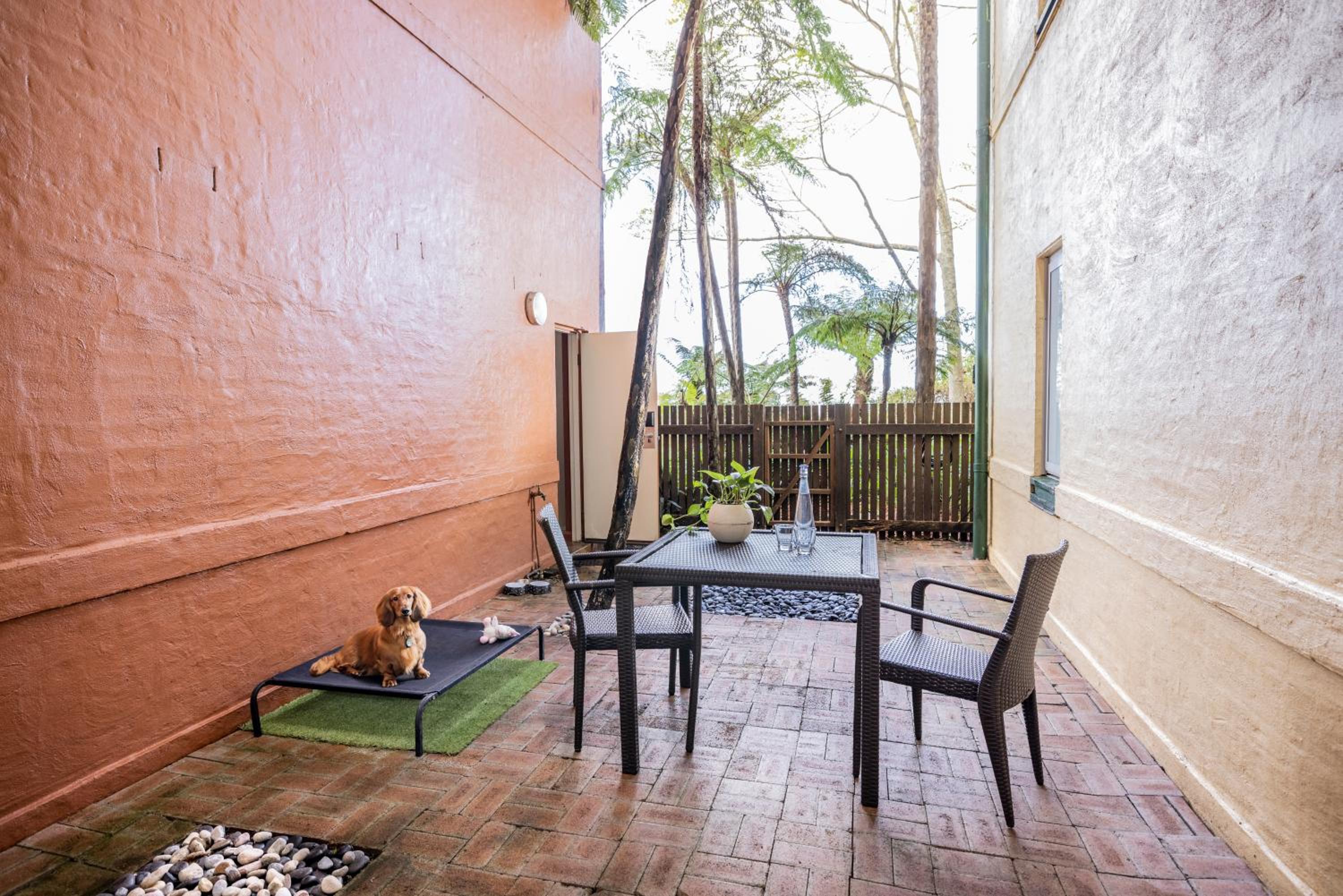 Standard King Room with Courtyard - Pet Friendly - Photo 11