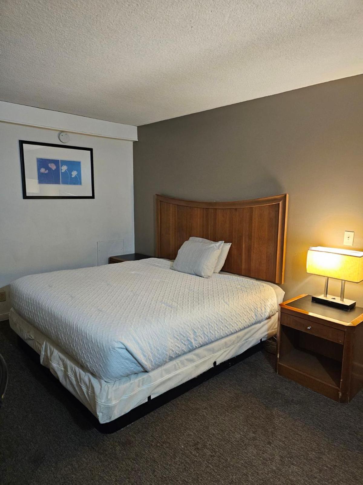King Room - Non-Smoking