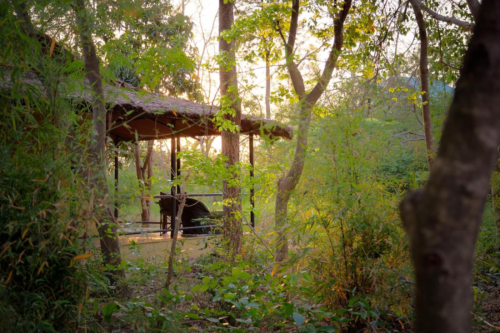 Jungle Cottage  - Photo 3