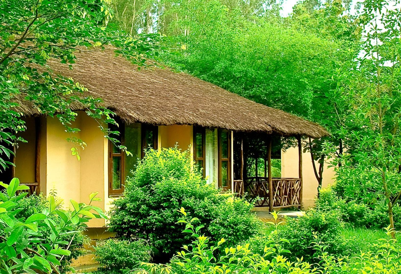 Jungle Family Cottage - Photo 3