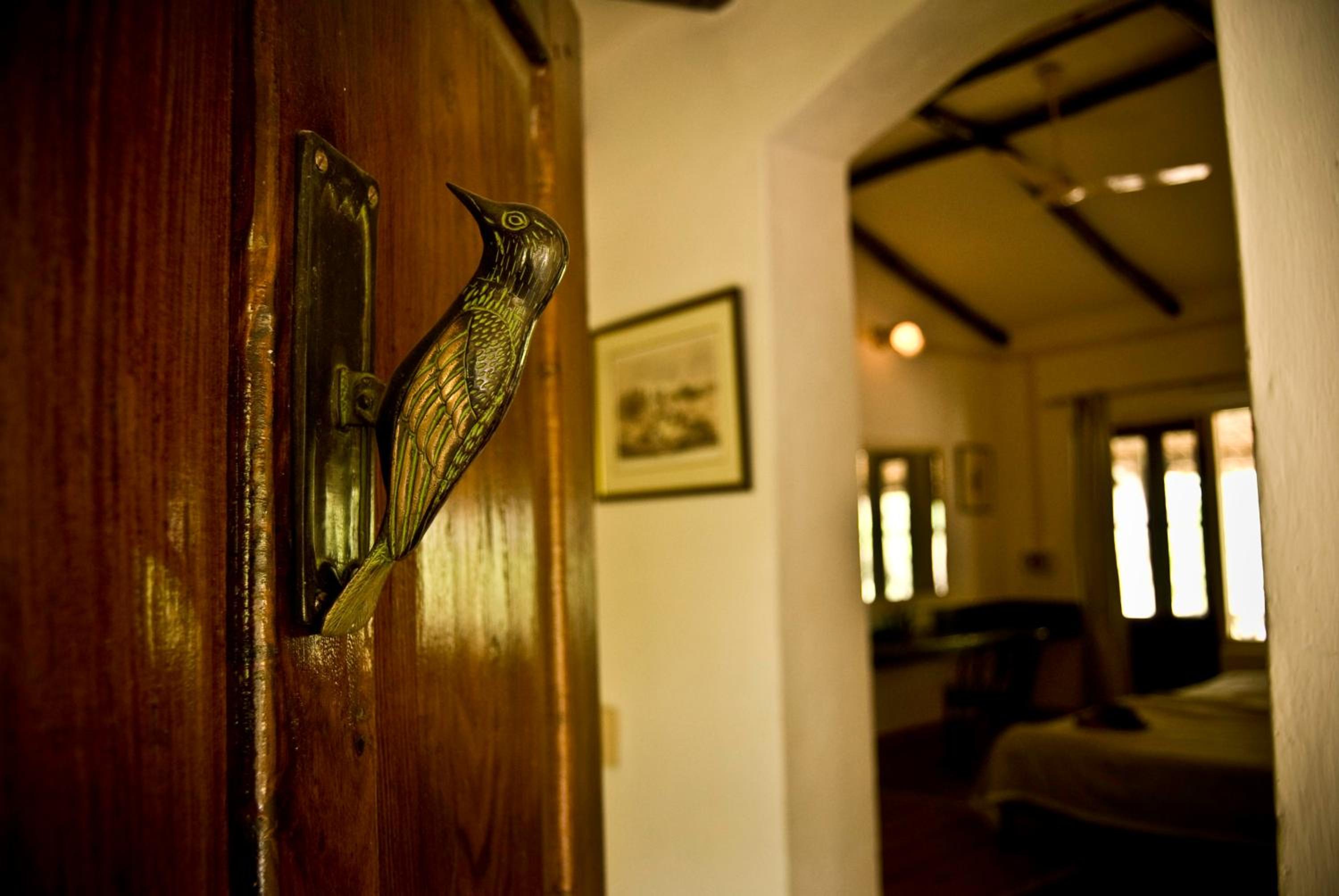 Jungle Family Cottage - Photo 4