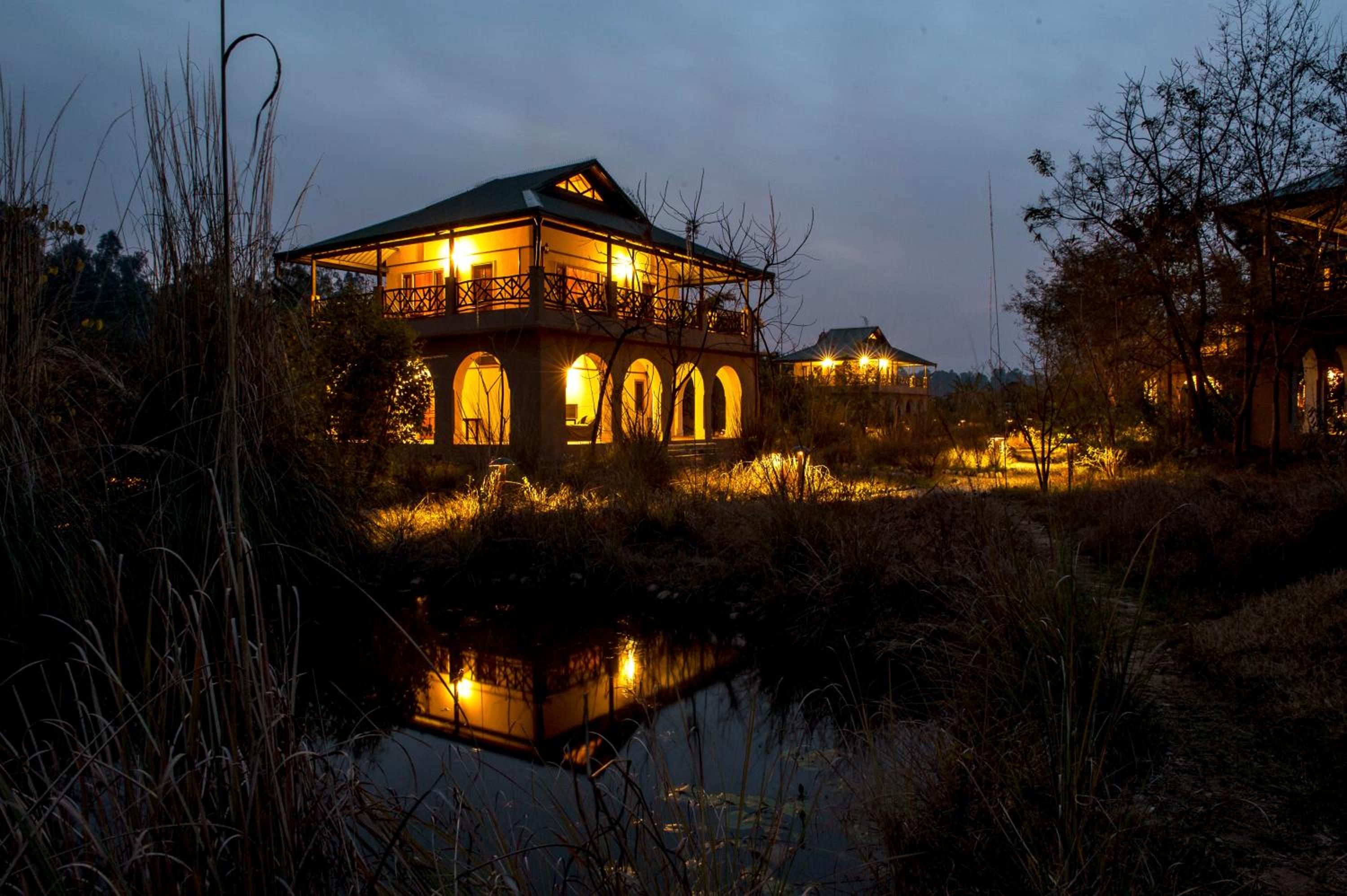 Jungle Lodge - Photo 5