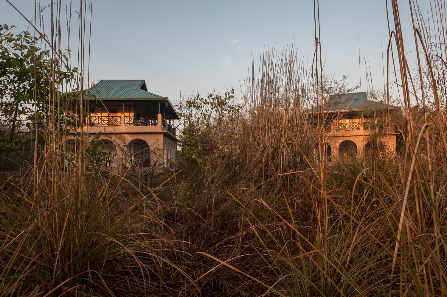 Jungle Lodge - Photo 8