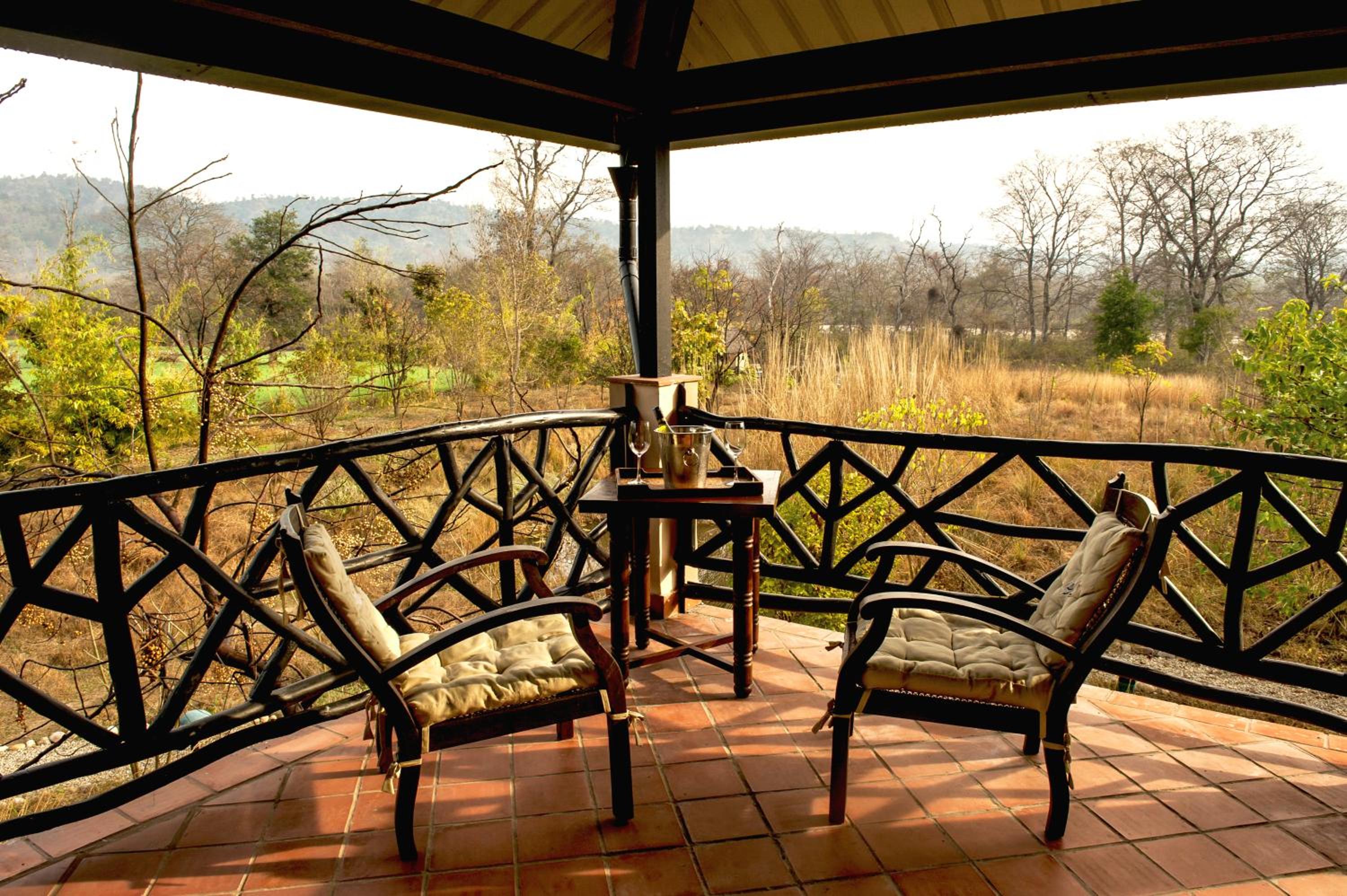Jungle Lodge - Photo 4