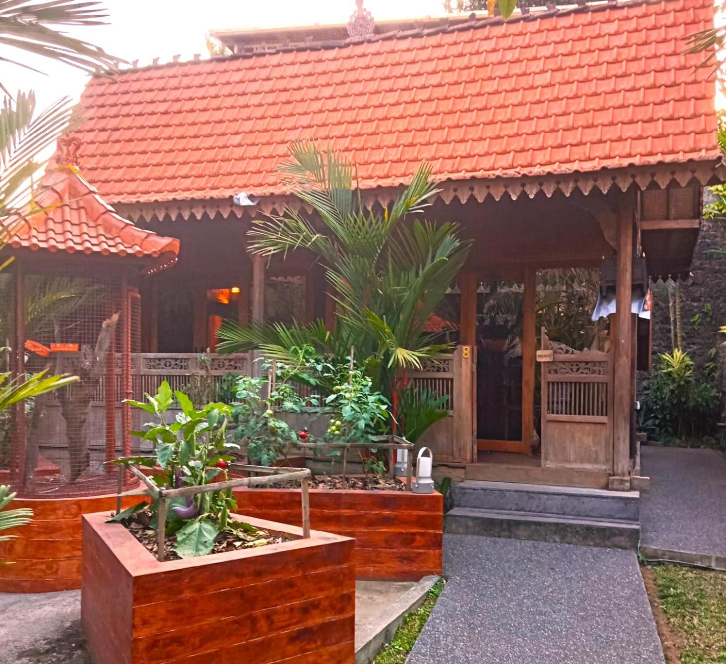 Standard Villa