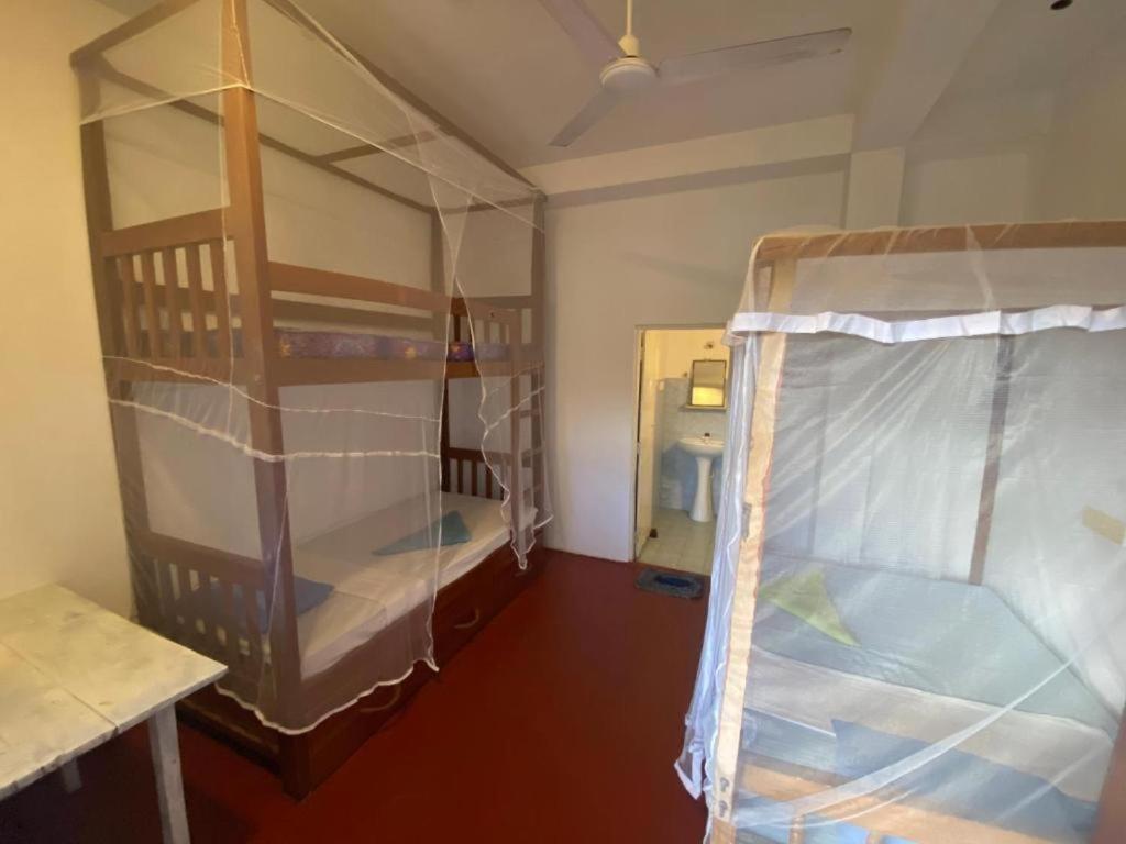 Single Bed In Mixed Dormitory Room