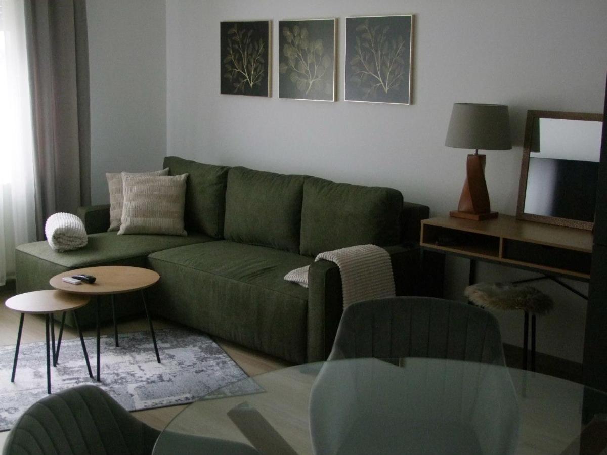 One-Bedroom Apartment photo 3