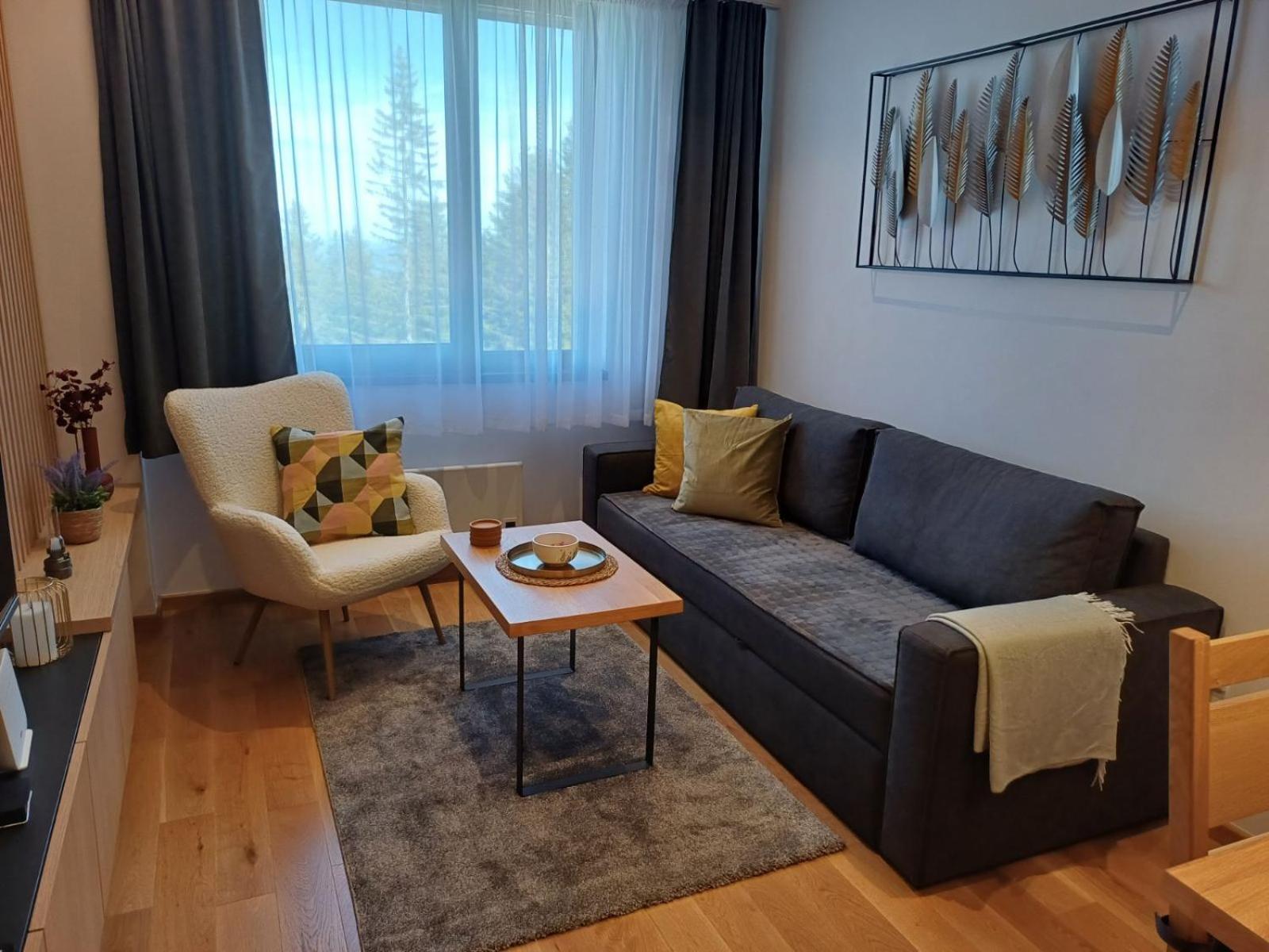 Apartment with Mountain View photo 3
