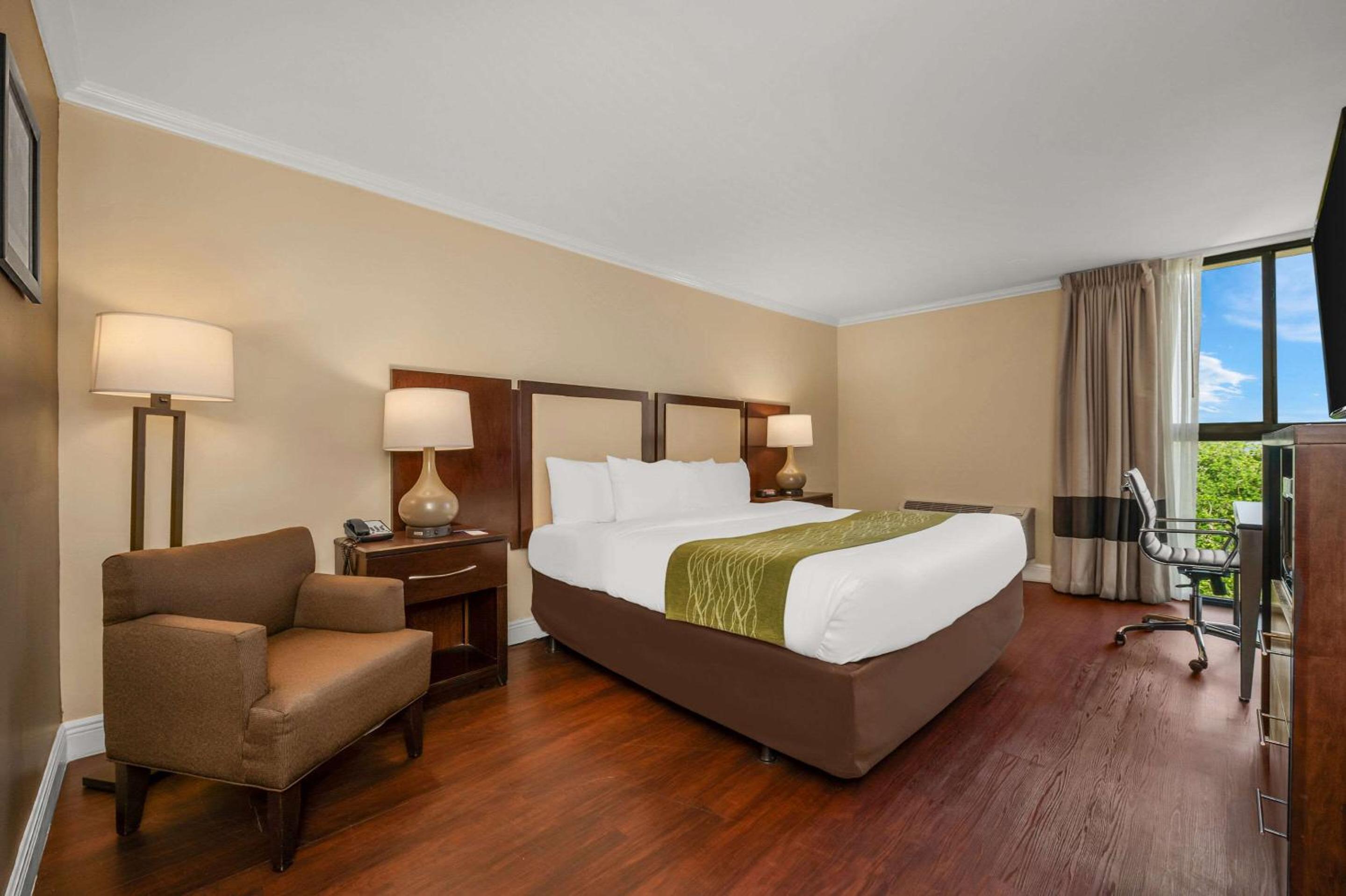 King Room - Non-Smoking photo 1