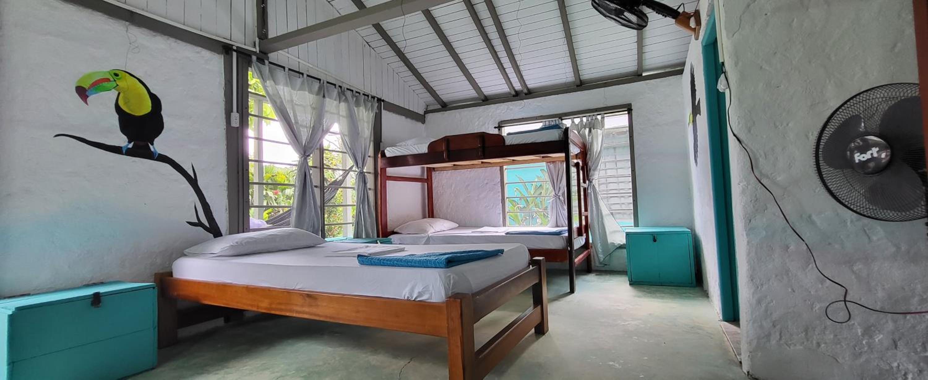 Single Bed in Mixed Dormitory Room photo 1