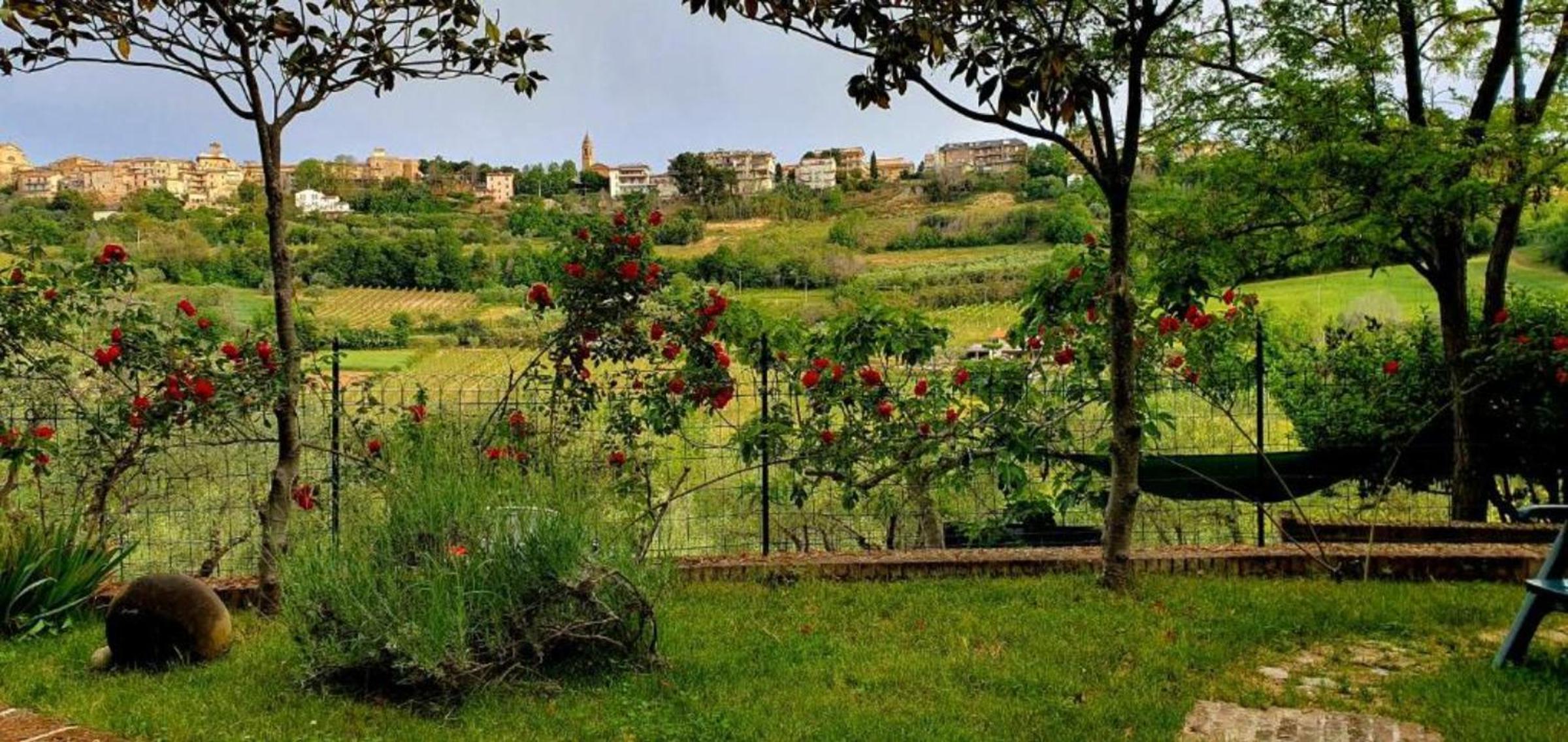Holiday Home photo 3