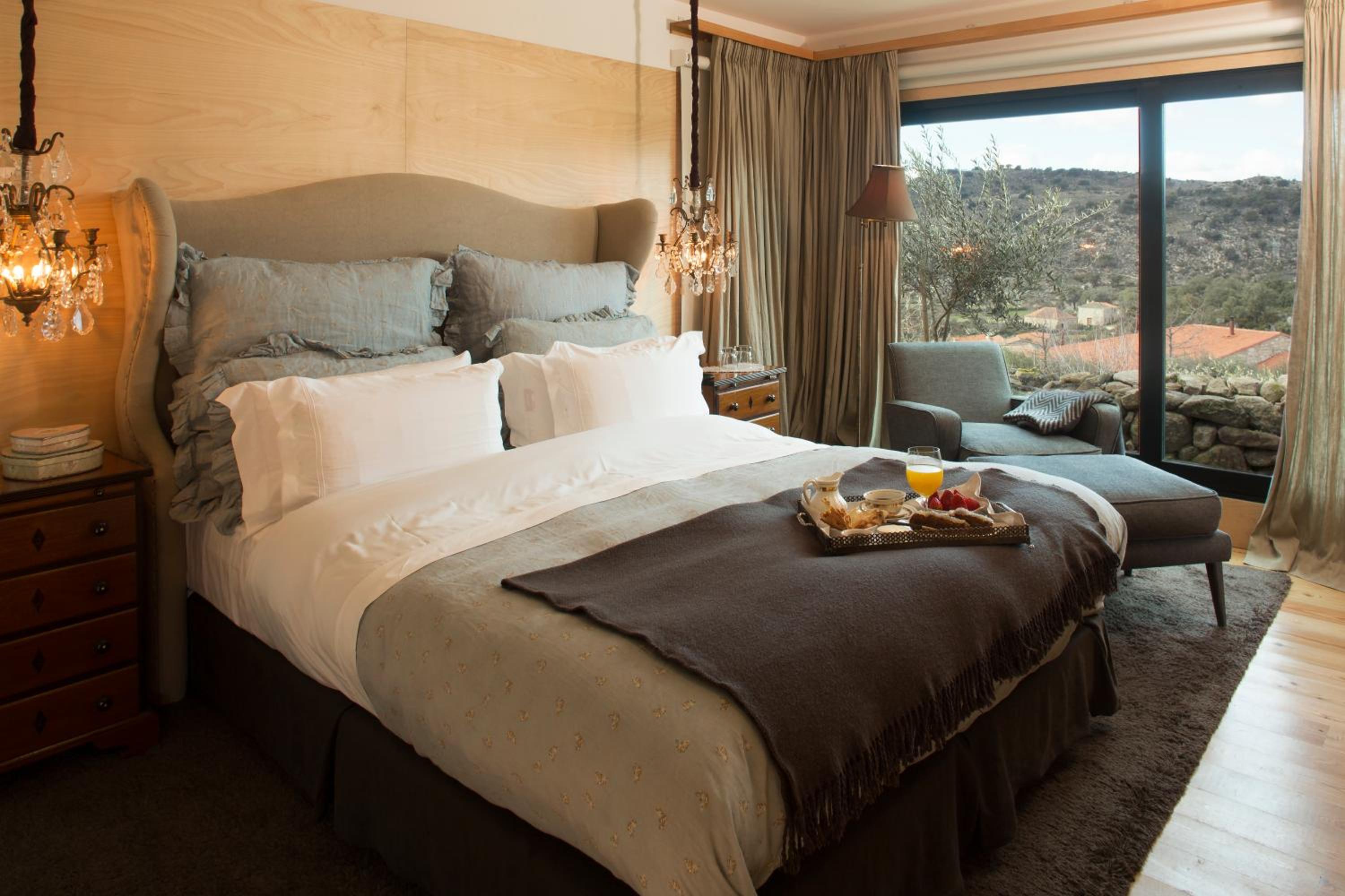 Suite - Photo 1