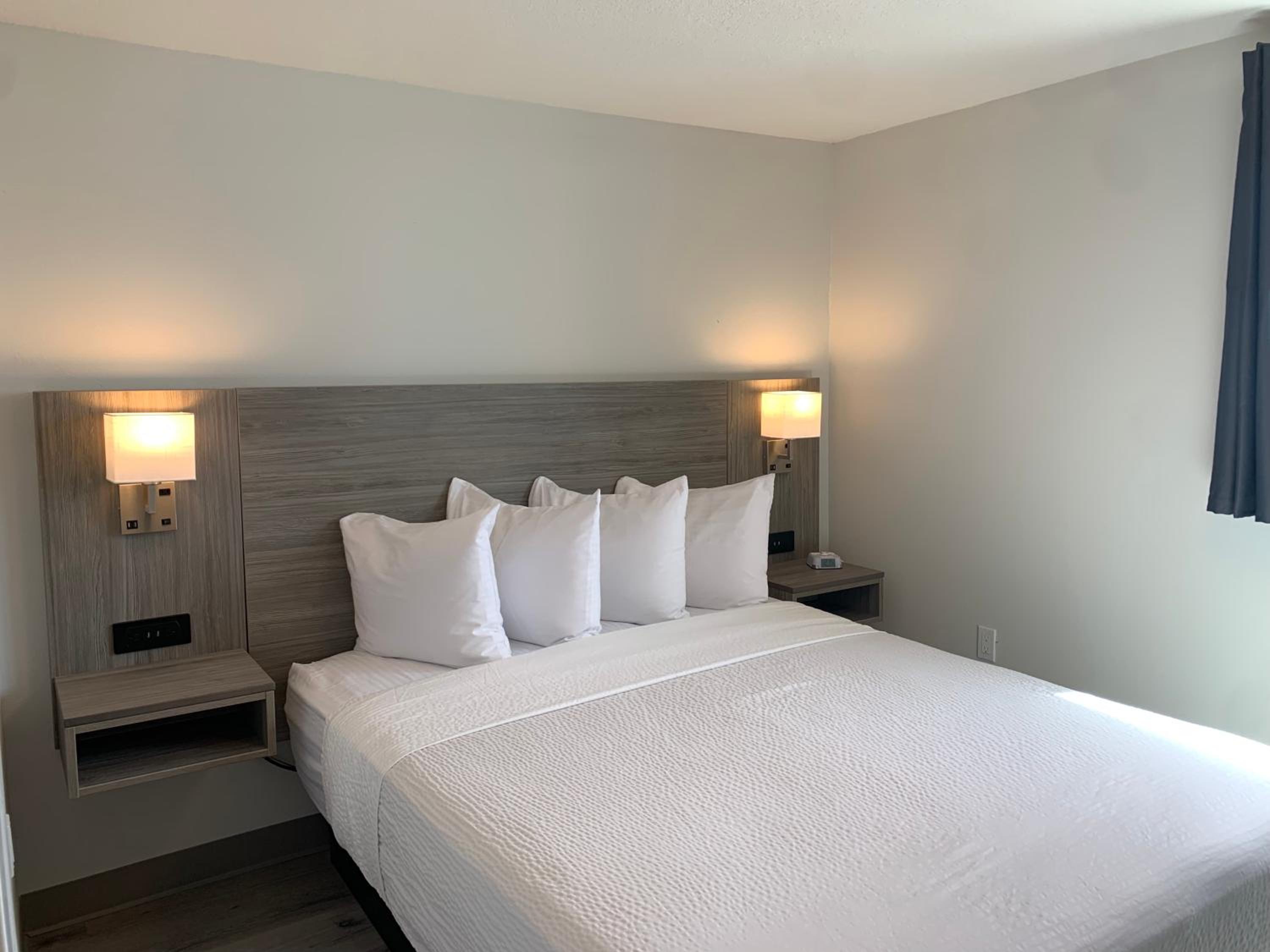 One Bedroom Suite photo 2