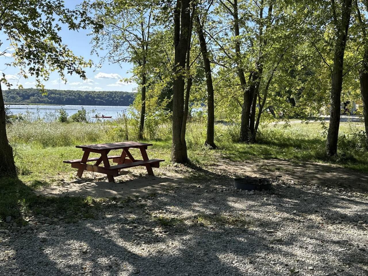 Empty Lot - Photo 1