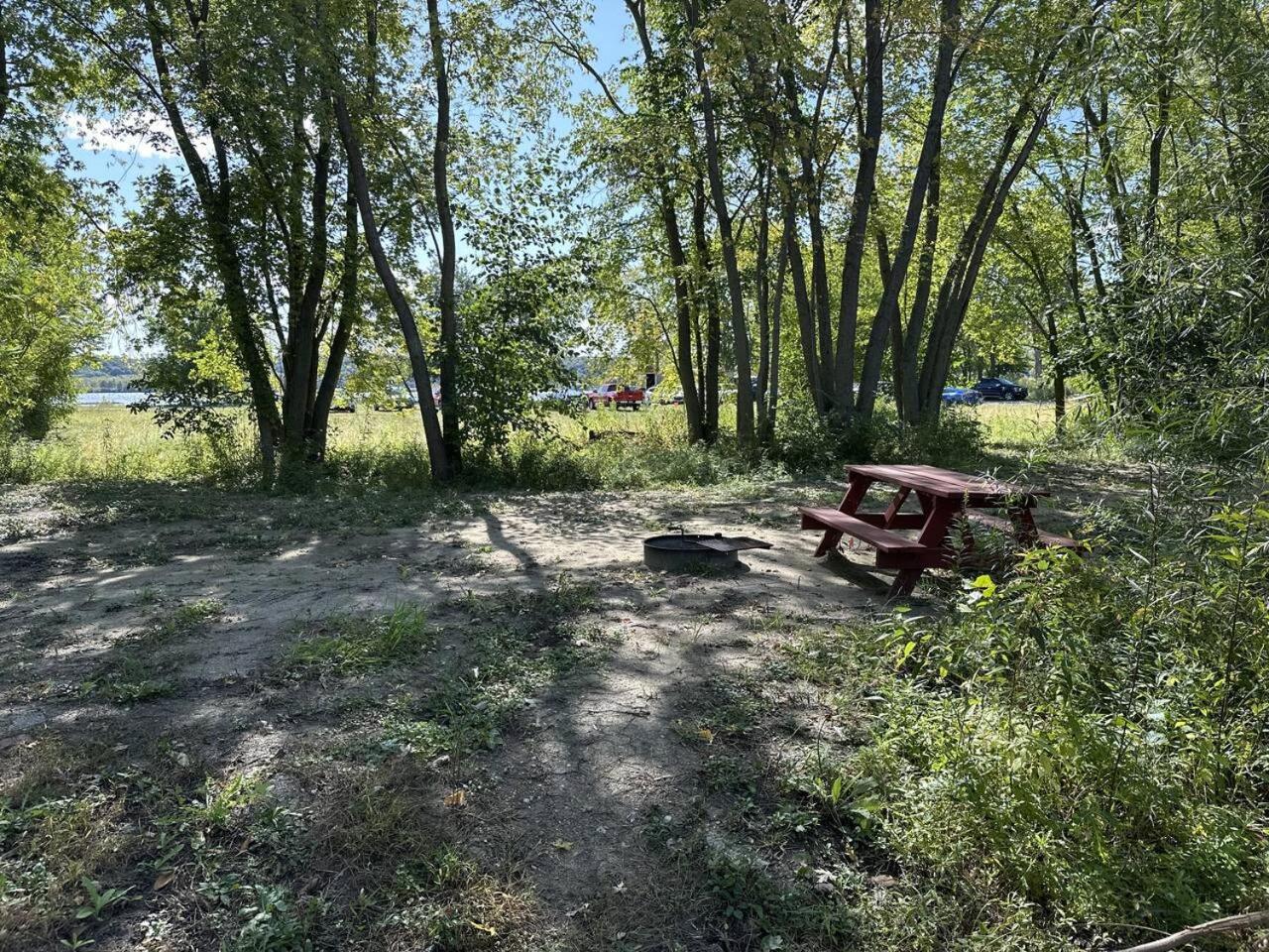 Empty Lot photo 2