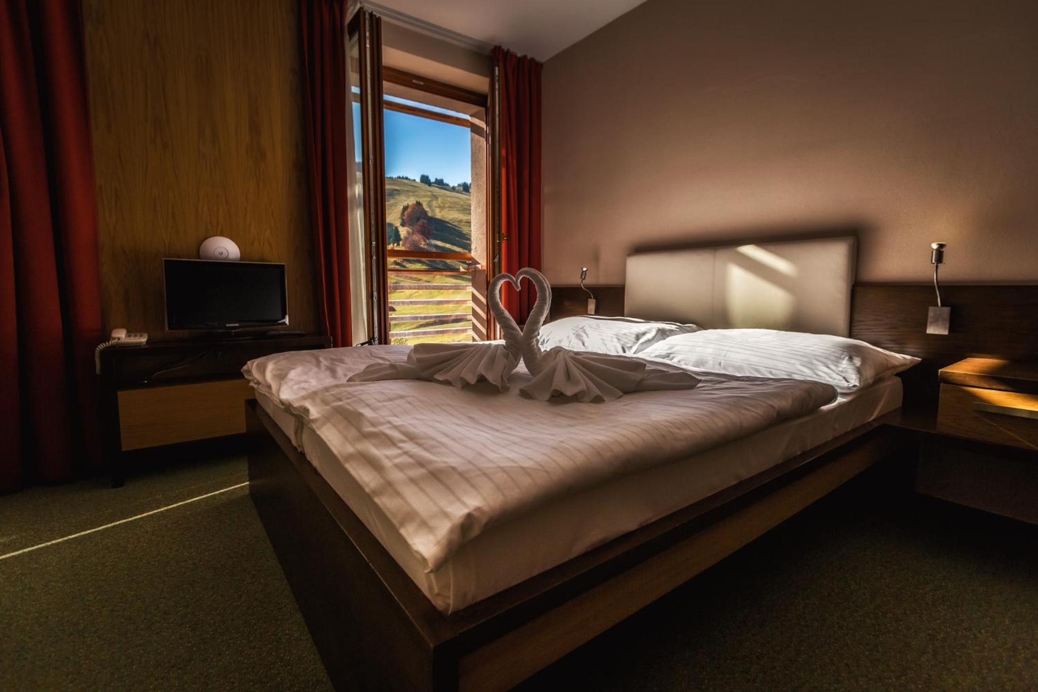 Double Room with Mountain View photo 2