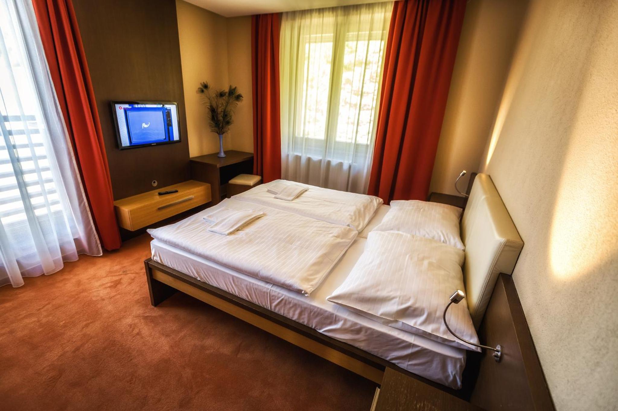 Double Room with Mountain View photo 3