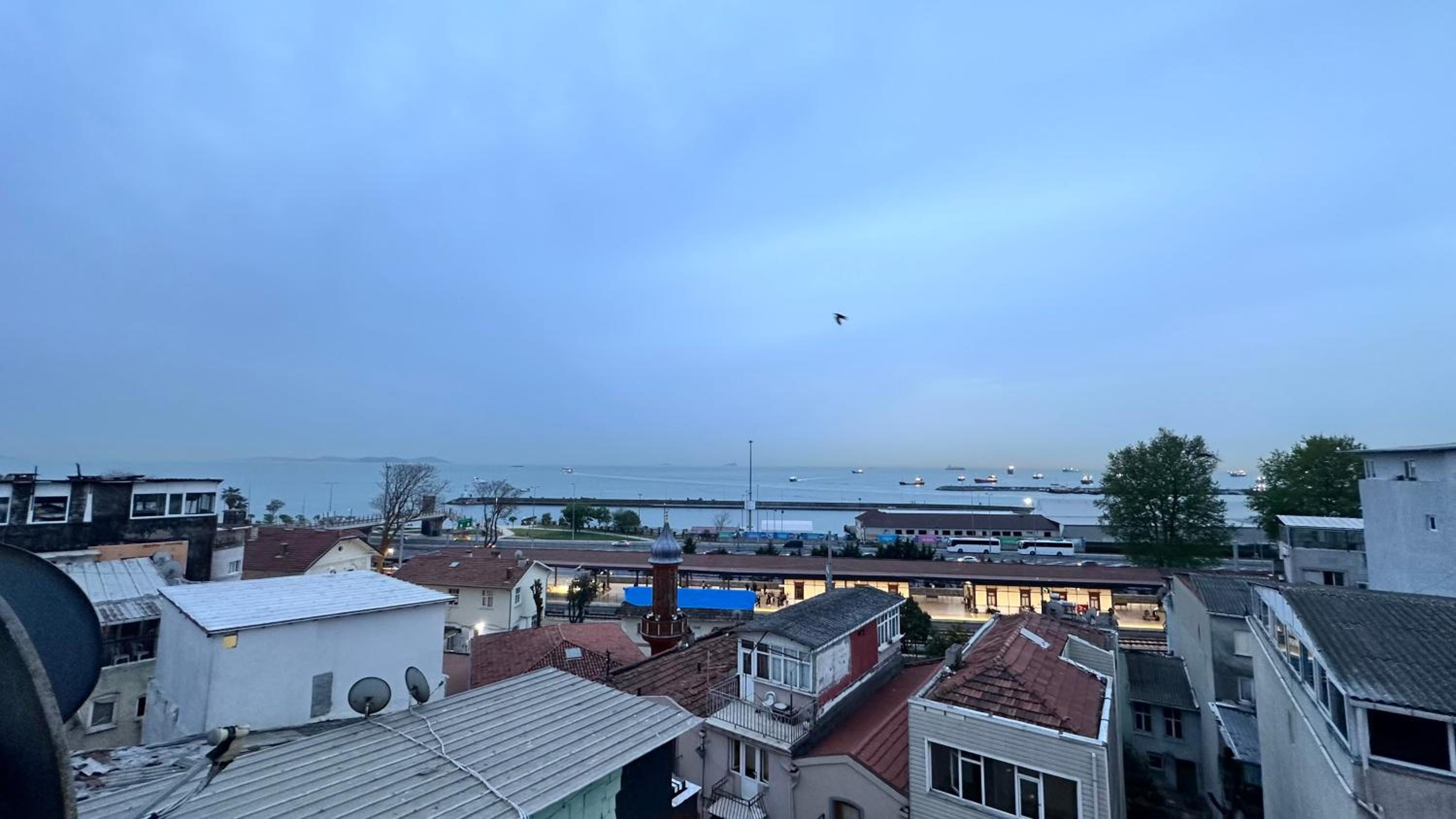 Deluxe Single Room with Sea View photo 3
